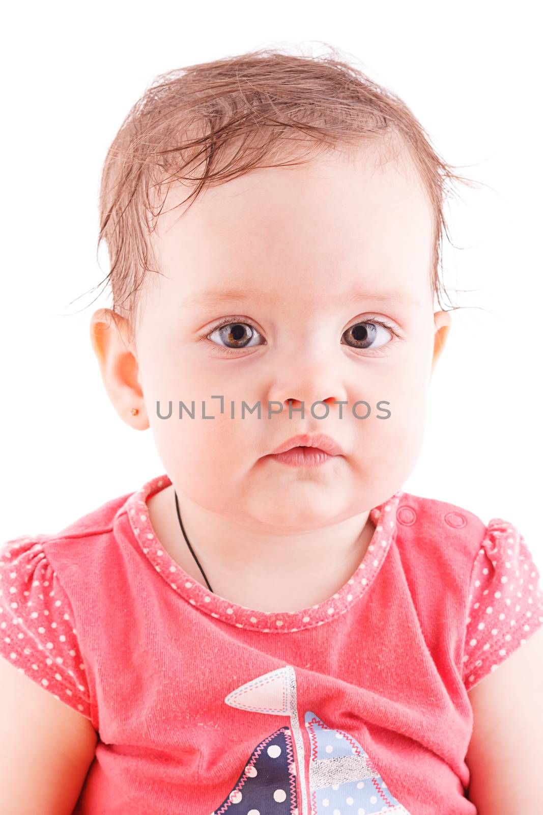 The girl is one year in dress sitting on a white background.