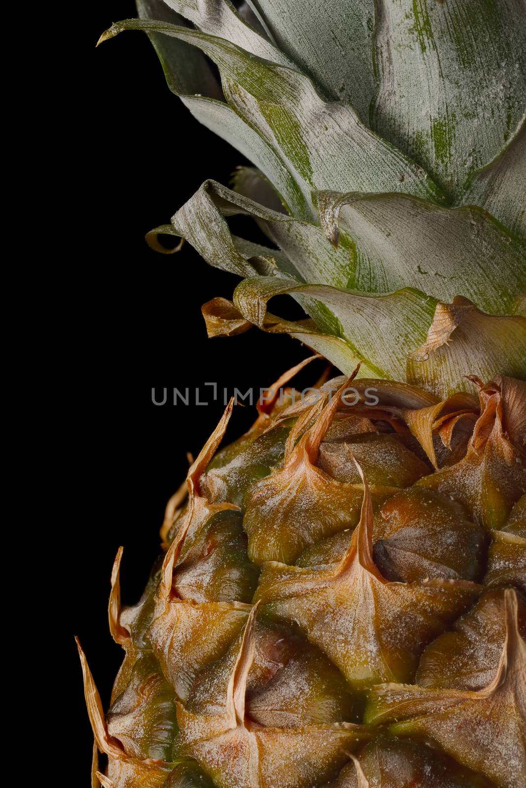 Ripe pineapple on a black background.