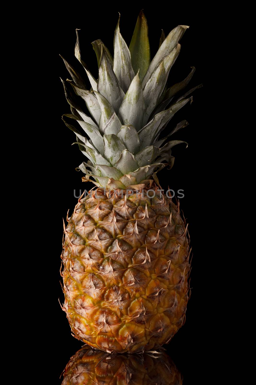 Ripe pineapple on a black background.