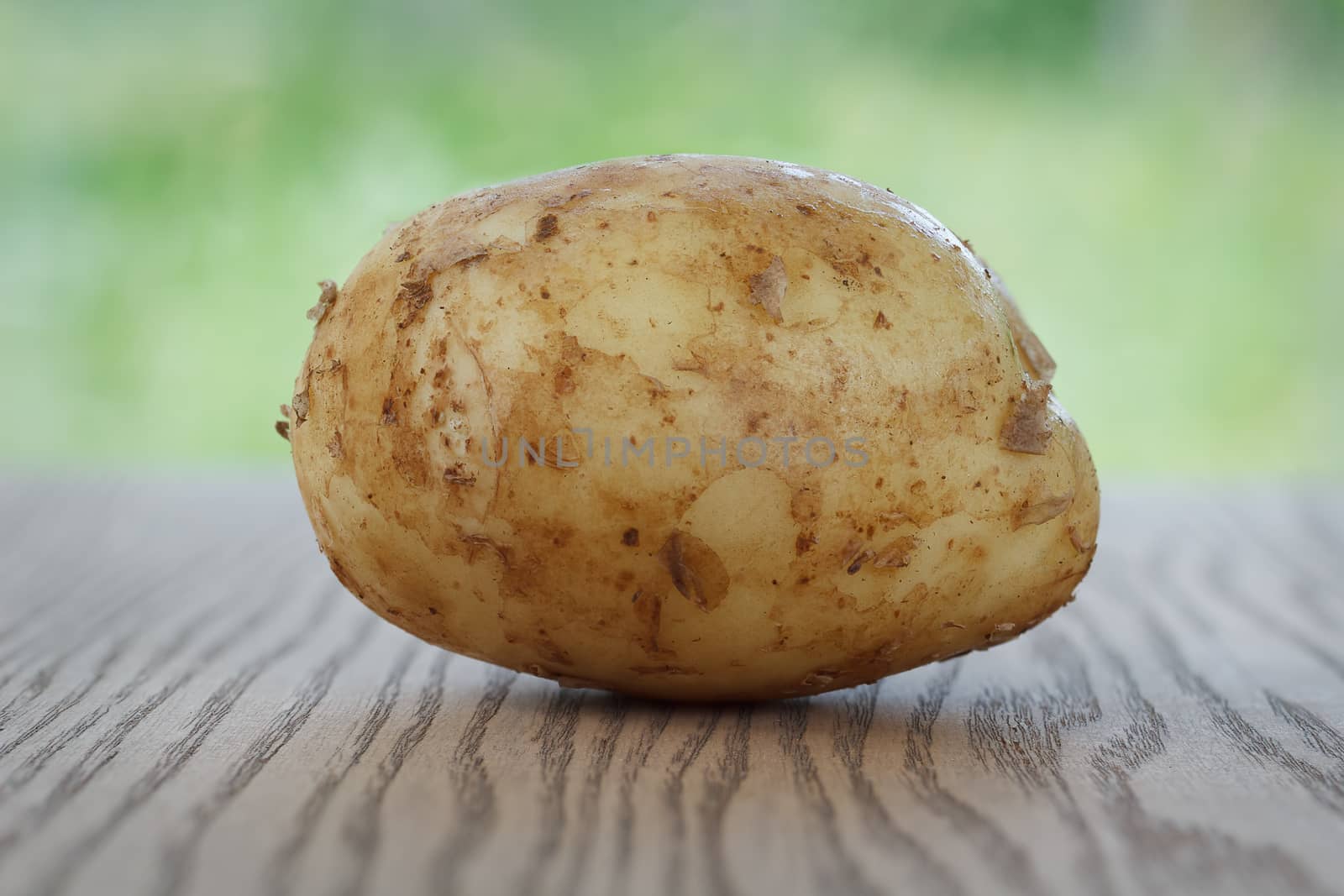 One raw potato lying on the wooden background.