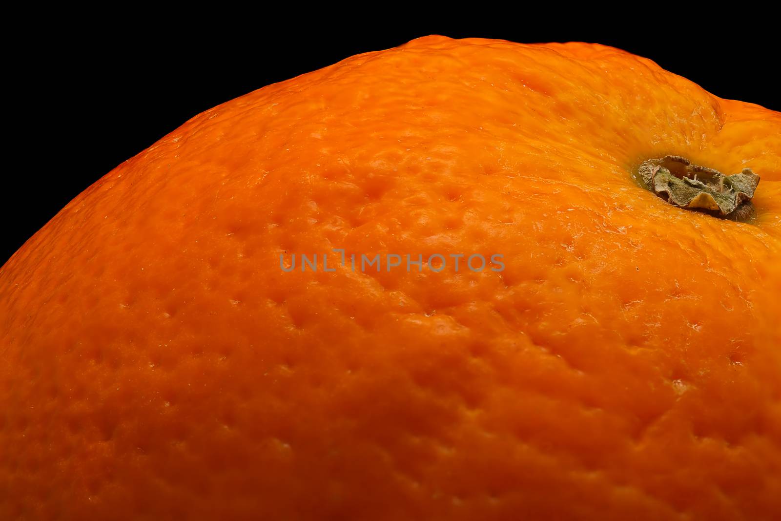 ripe orange on a black by baronvsp