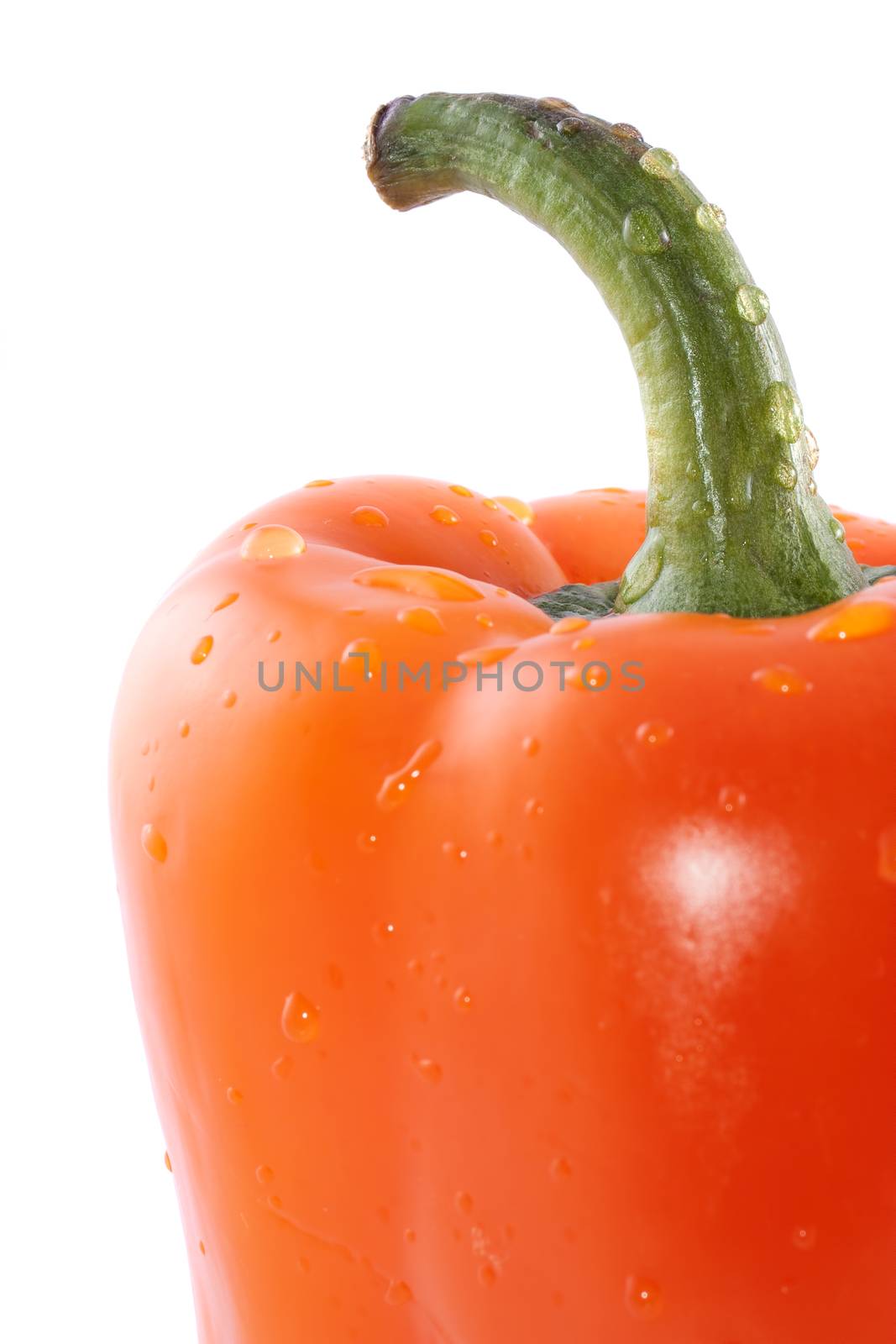 Juicy orange pepper with drops of water on a white background.