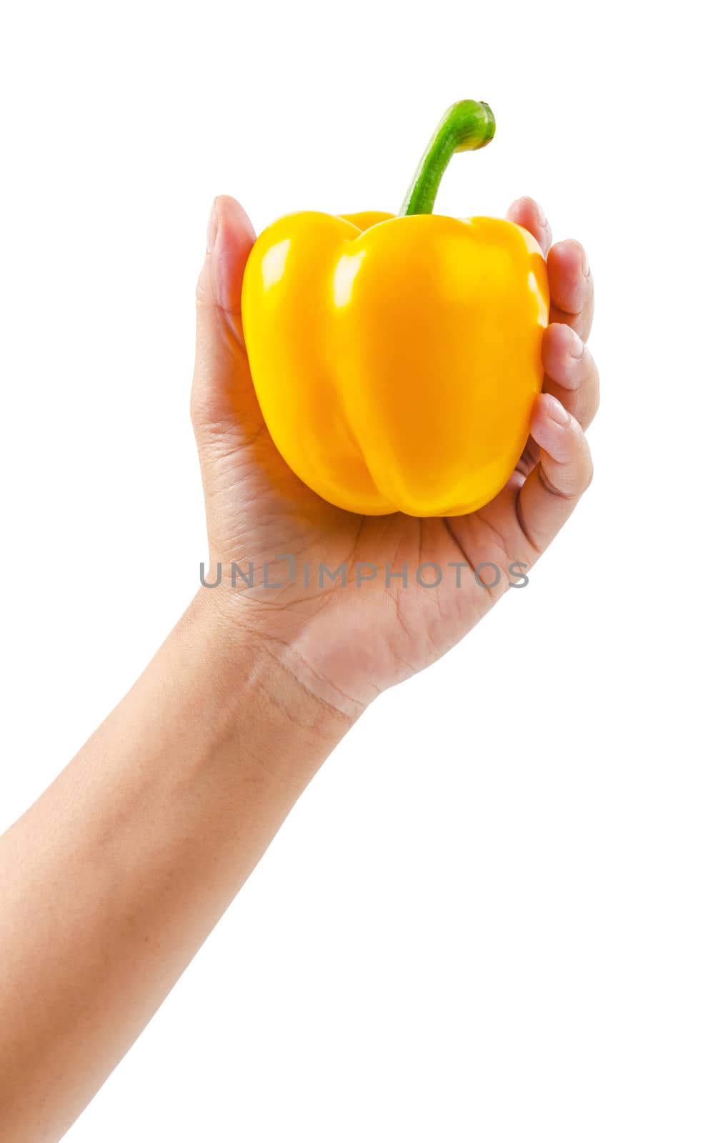 Female hand holding yellow bell pepper. by Gamjai