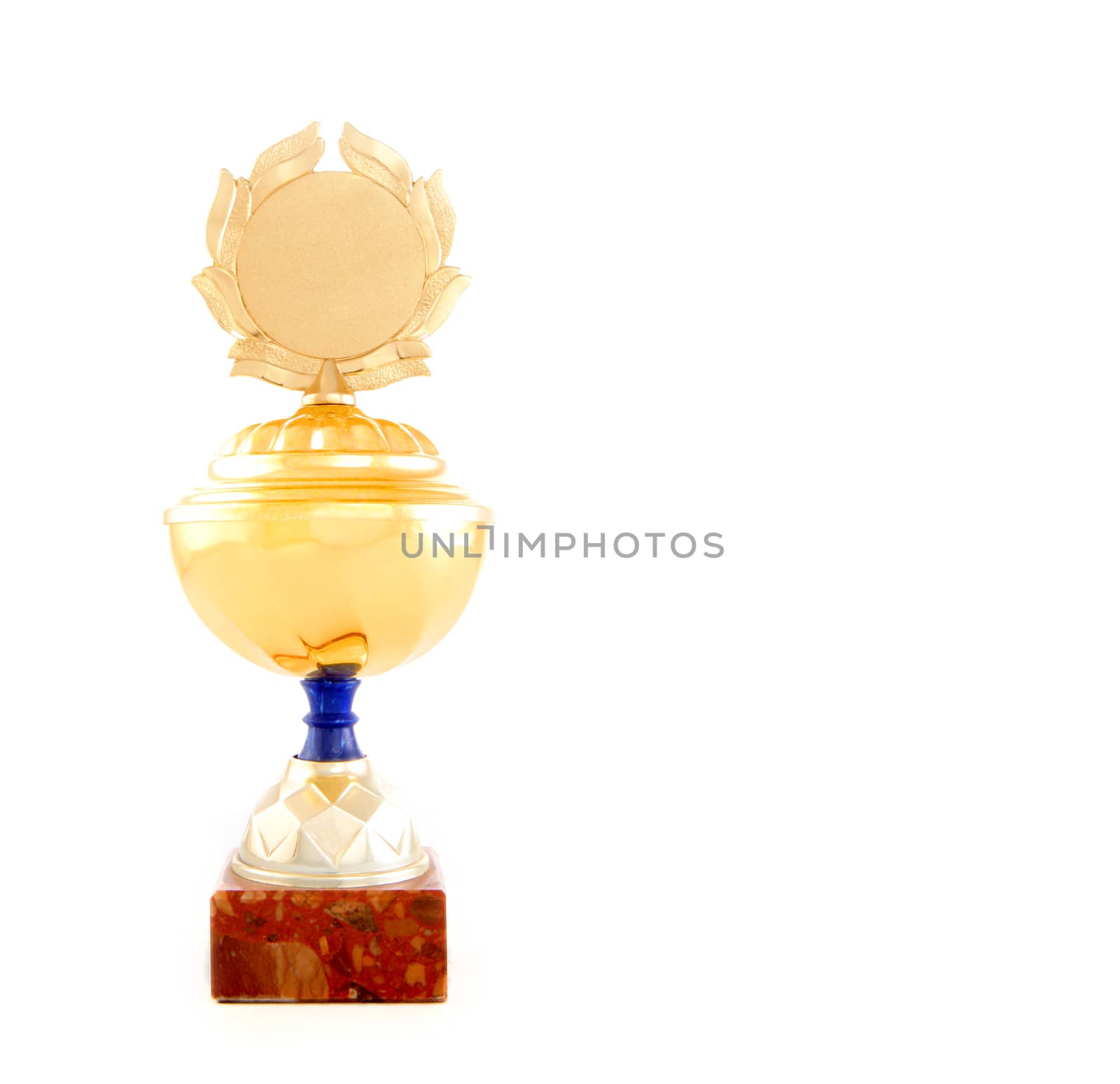 Gold Cup Studio Quality white Background