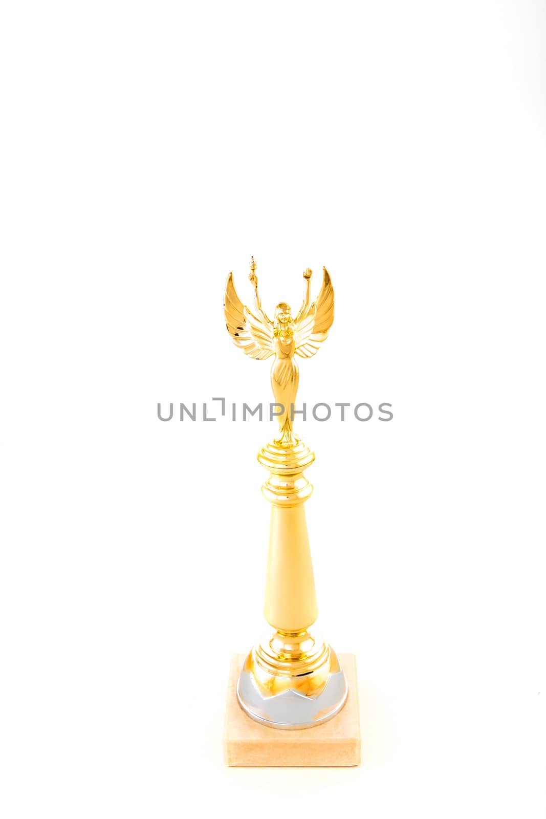 Gold Cup Studio Quality white Background