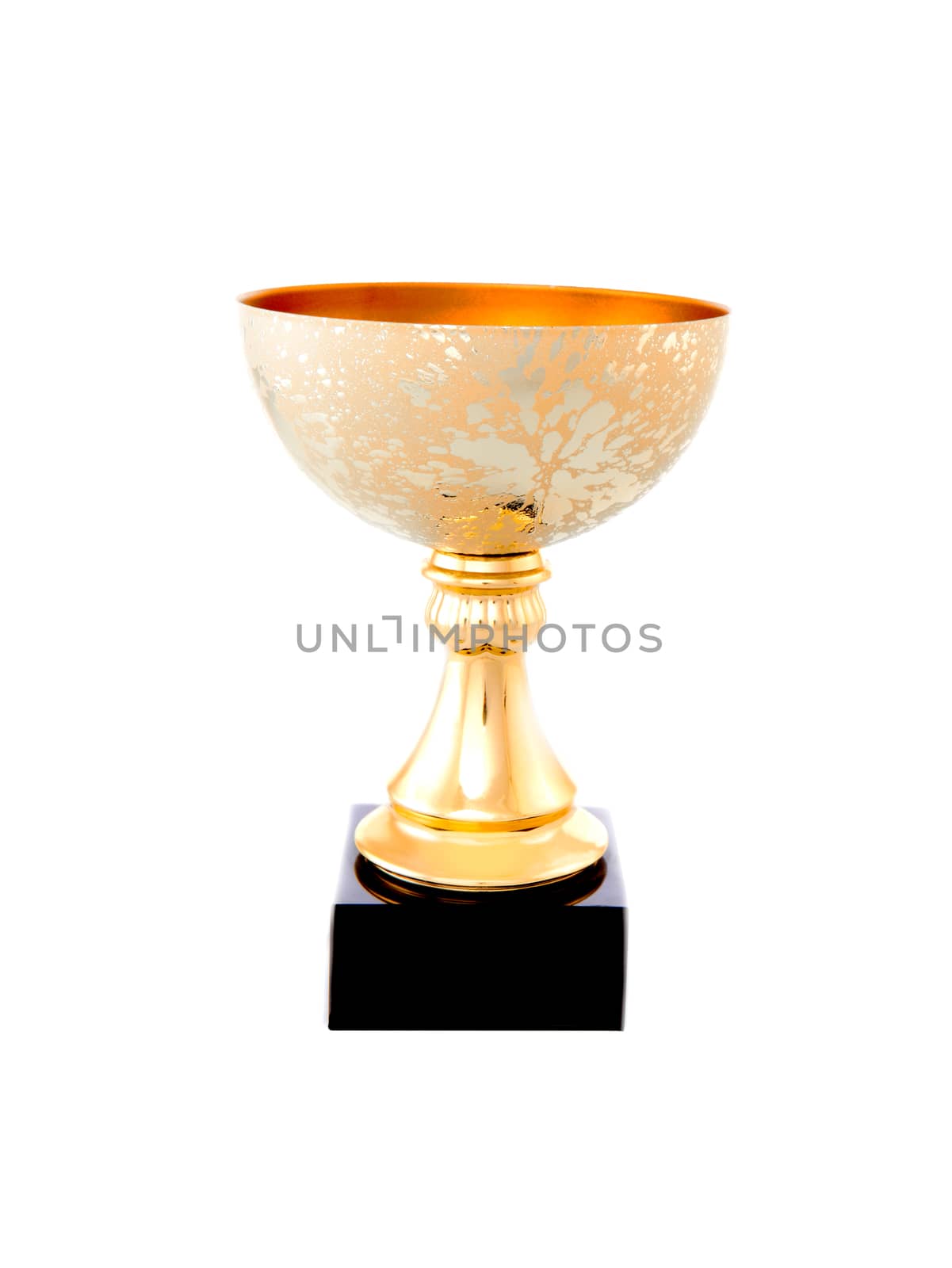 Gold Cup Studio Quality white Background