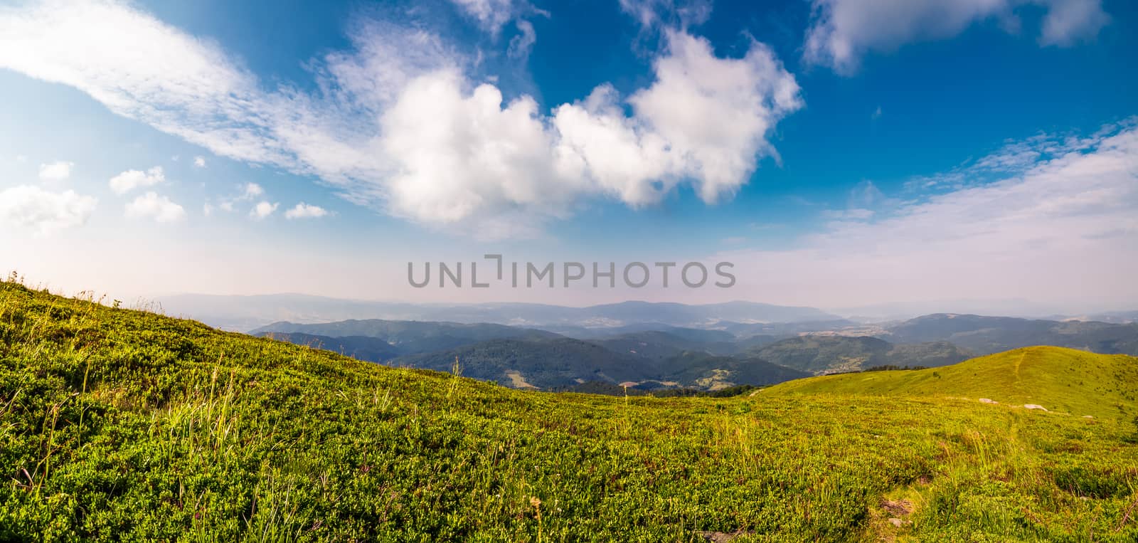 beautiful panorama of mountainous landscape. blue sky with some clouds over the grassy slope of a mountain ridge. lovely summer weather