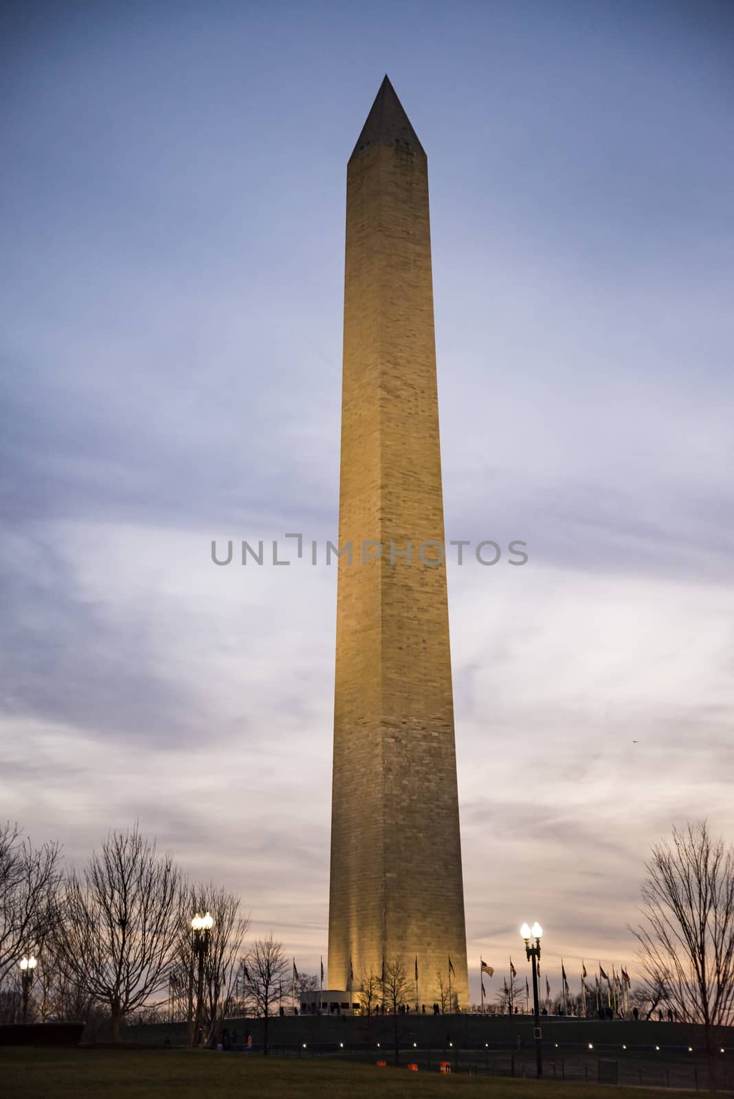 The Washington Monument by edella