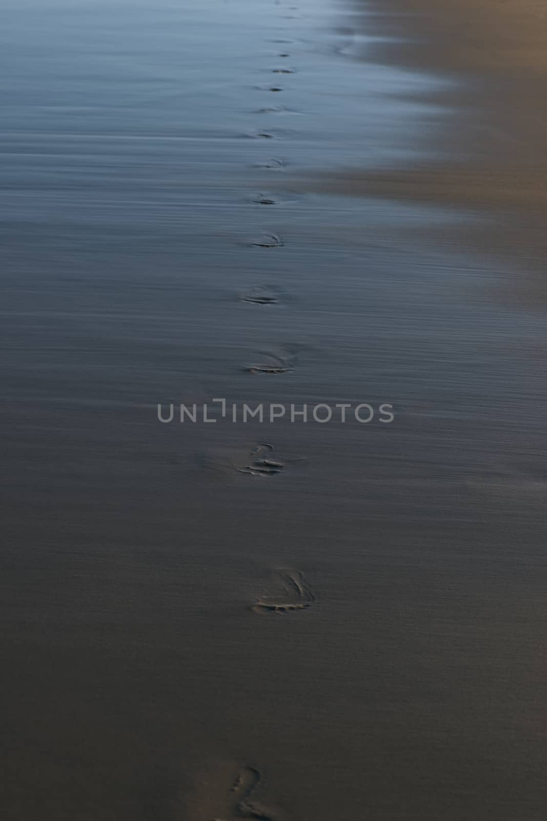 Sunshine beach at Noosa, Sunshine Coast by artistrobd