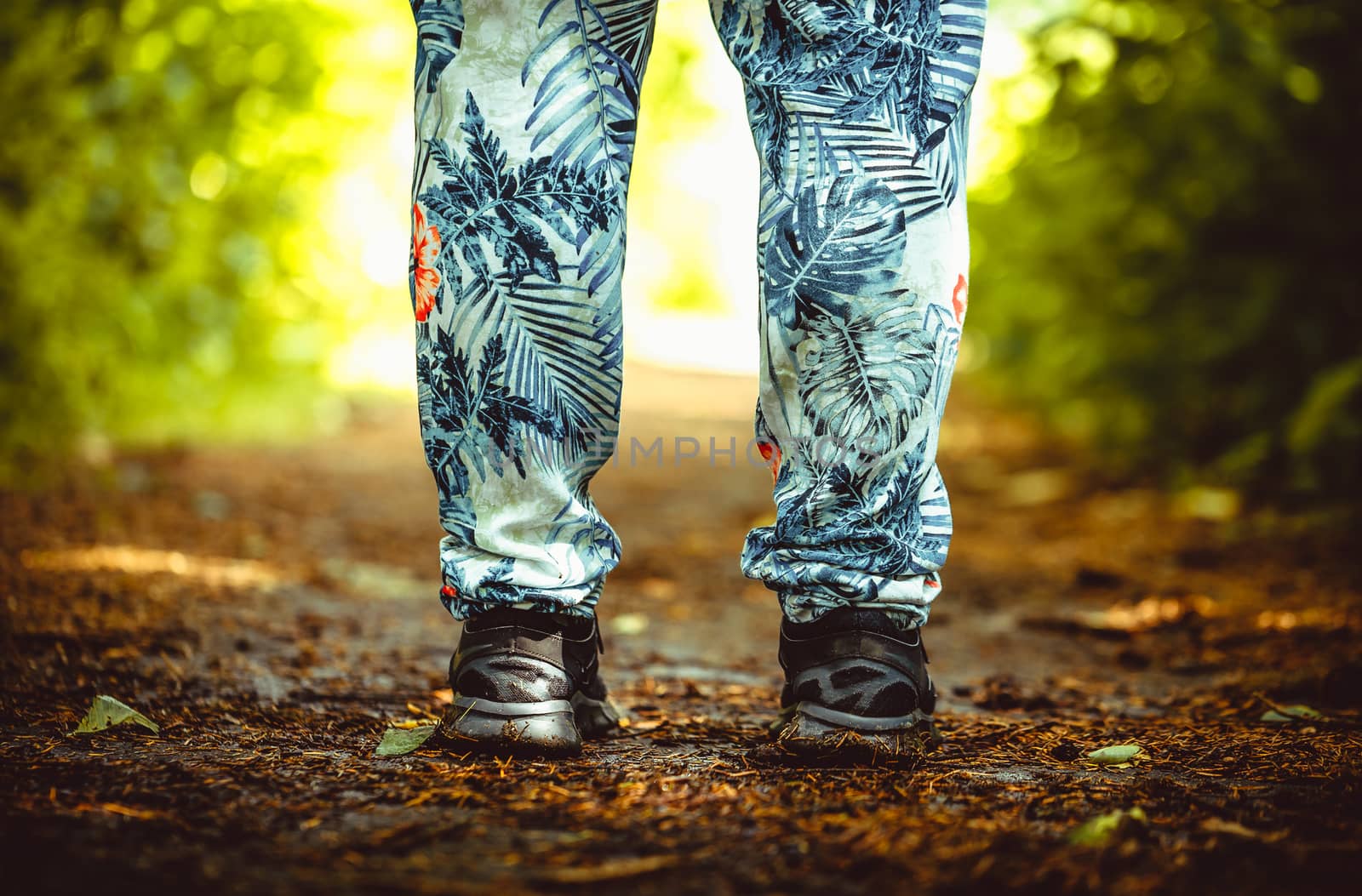 feet legs close up photo on the forest path background by boys1983@mail.ru