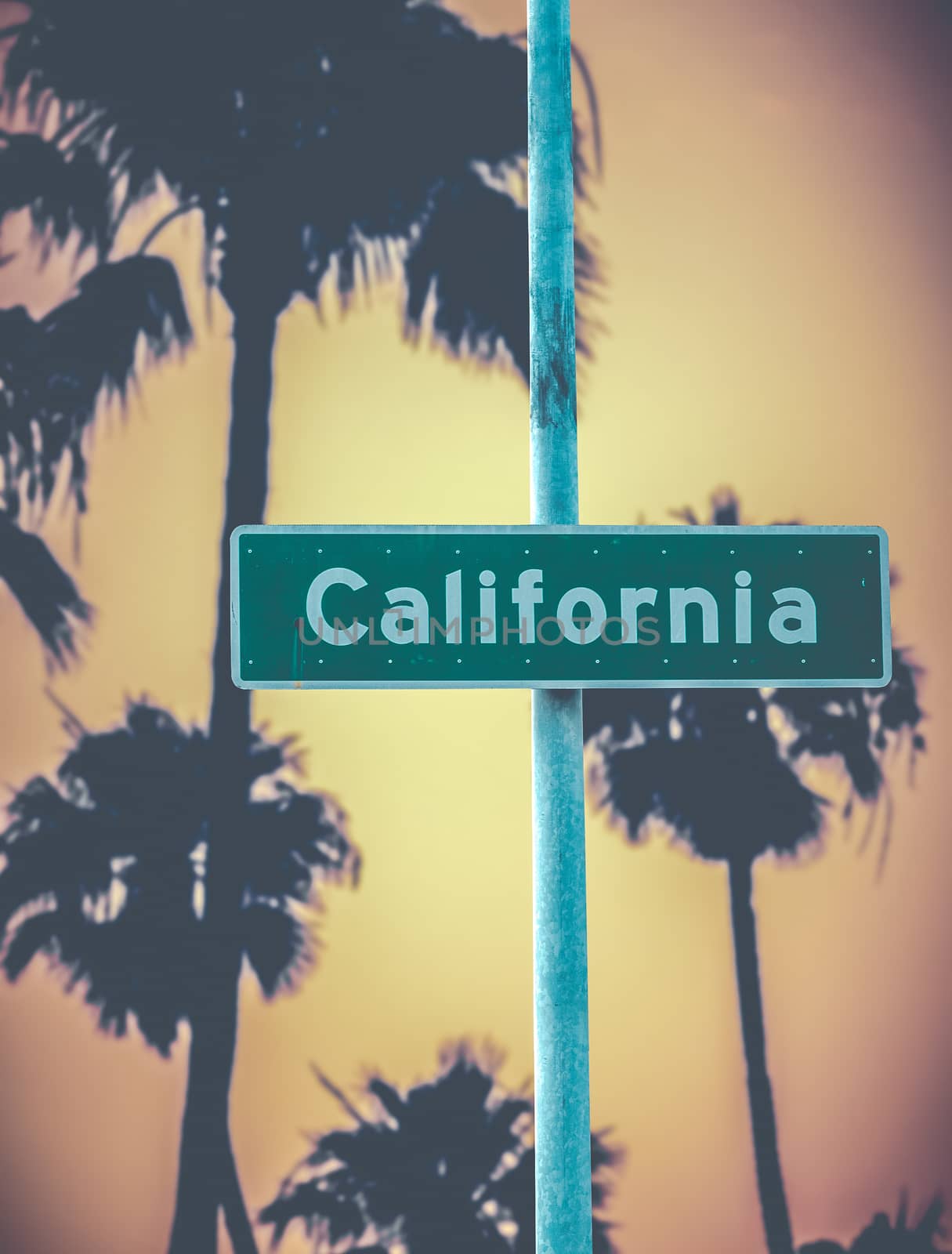 Retro California Sign And Palms by mrdoomits