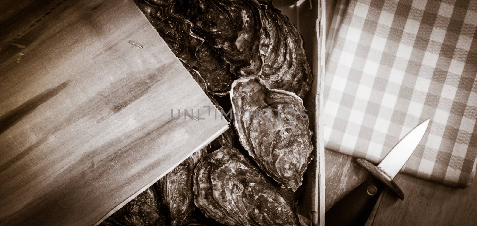 Raw oysters with lemon on wood board and bottle of wine and glass, France