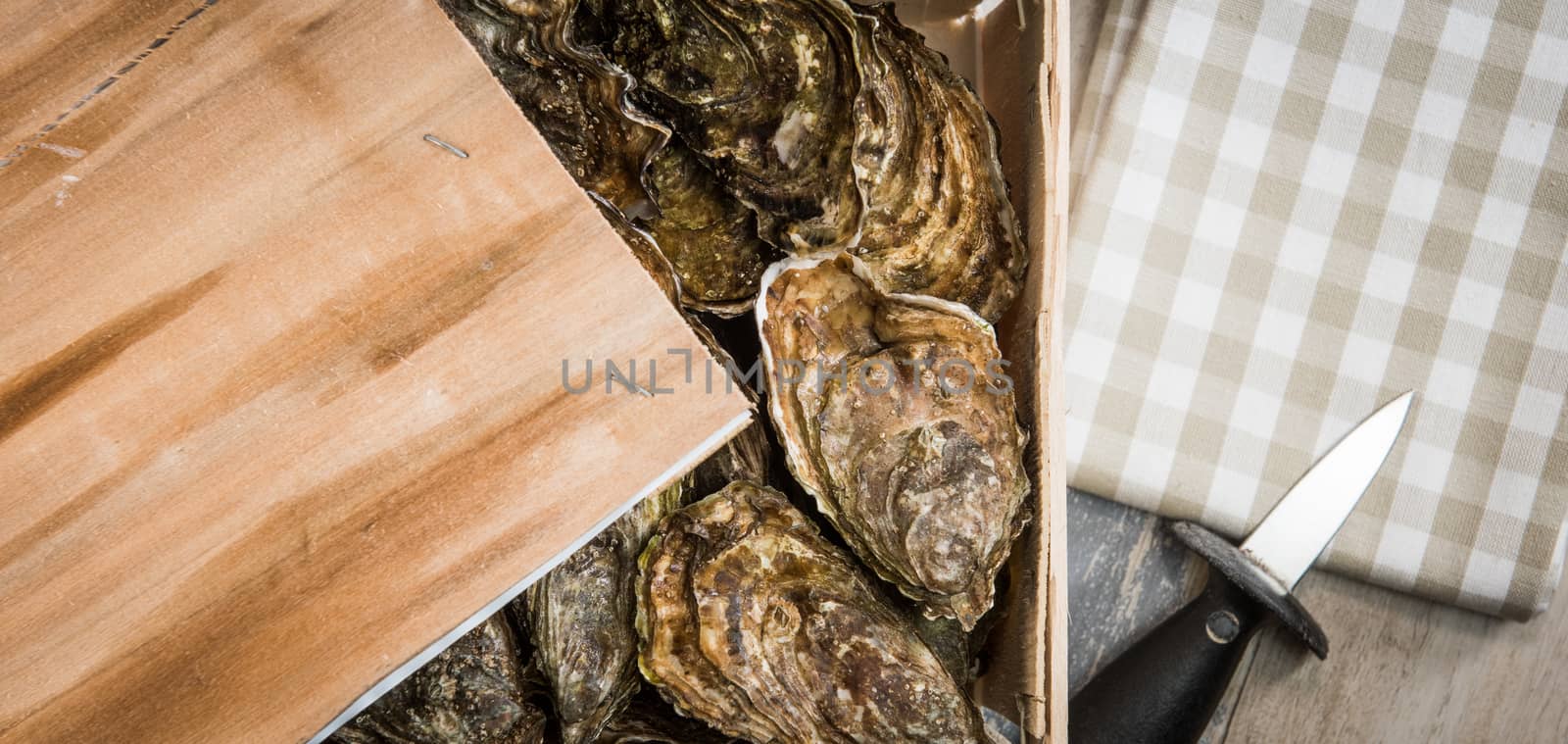 Raw oysters with lemon on wood board and bottle of wine and glass, France