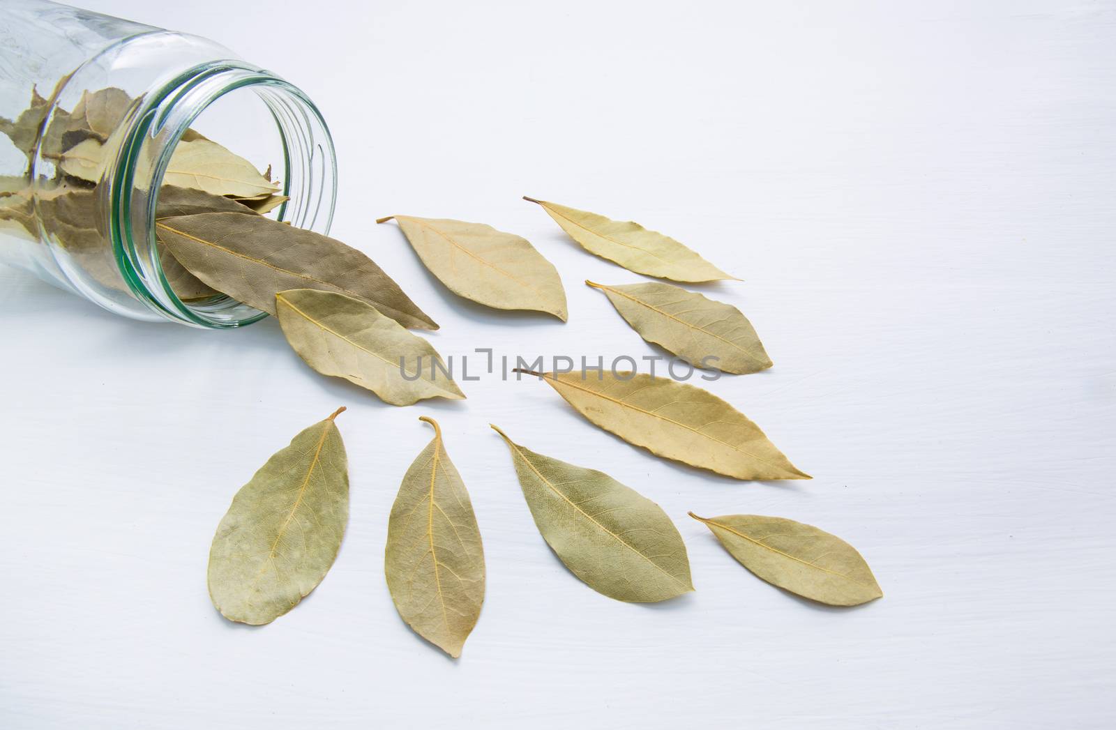 Dried bay leaves in glass jar on white wooden background.