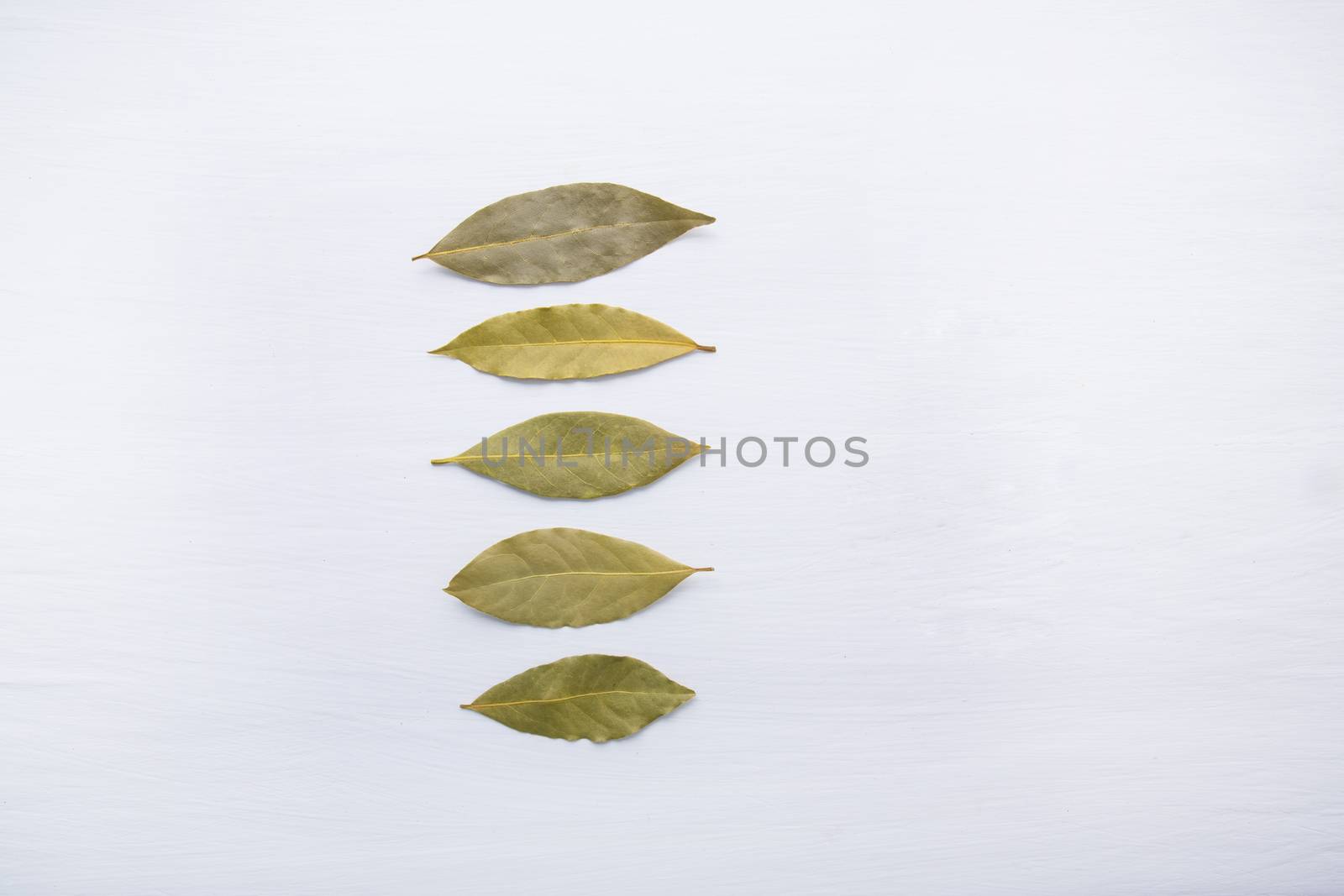 Dried bay leaves on white wooden background.