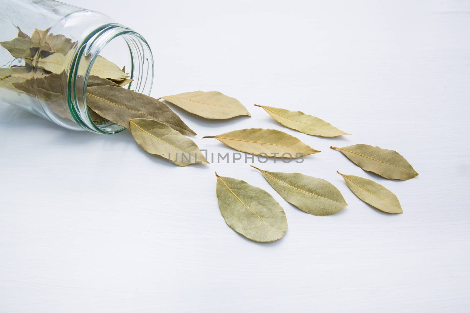 Dried bay leaves in glass jar on white wooden background.