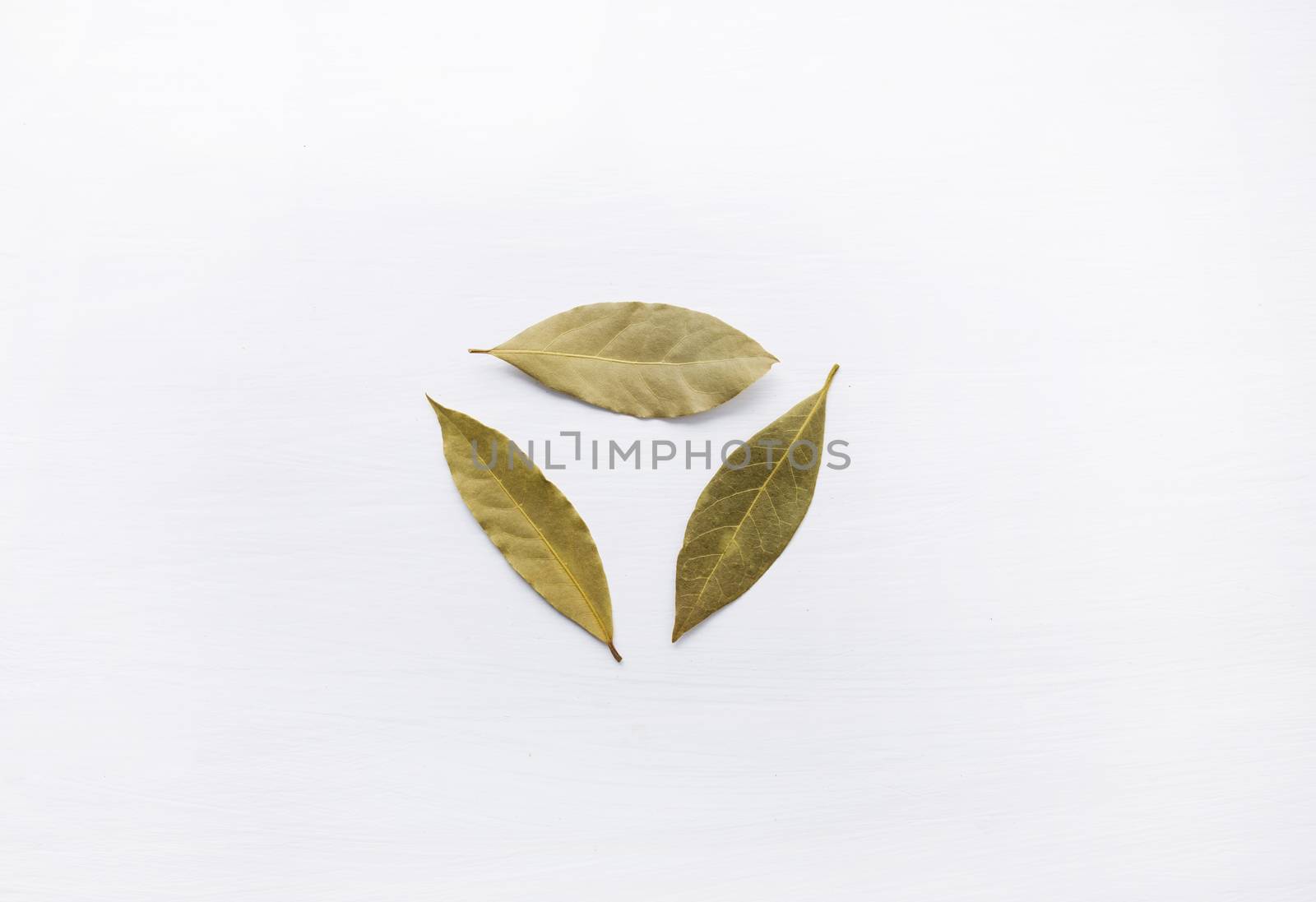 Dried bay leaves on white wooden background.