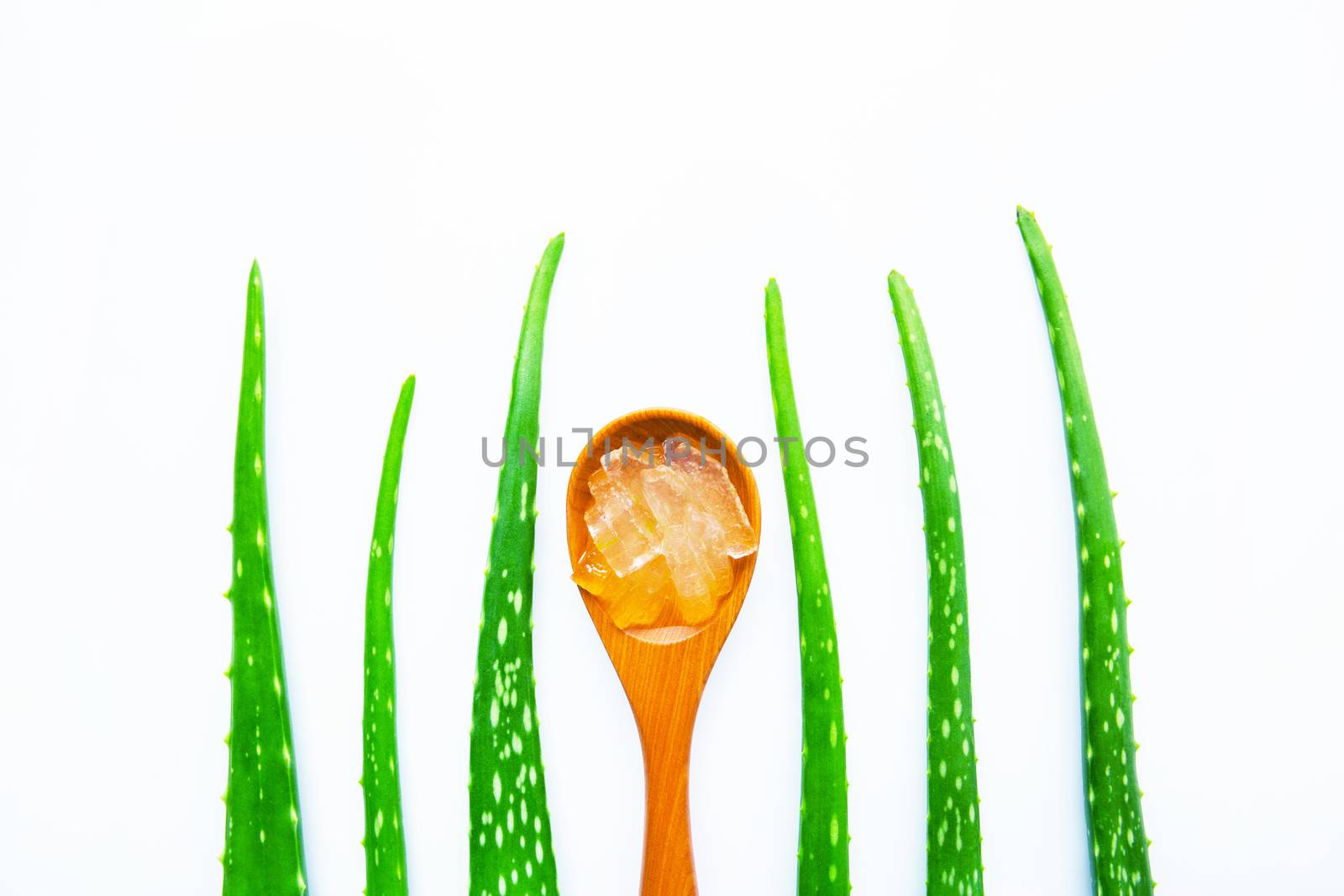 Aloe vera fresh leaves with slices and aloe vera gel on wooden spoon. isolated over white