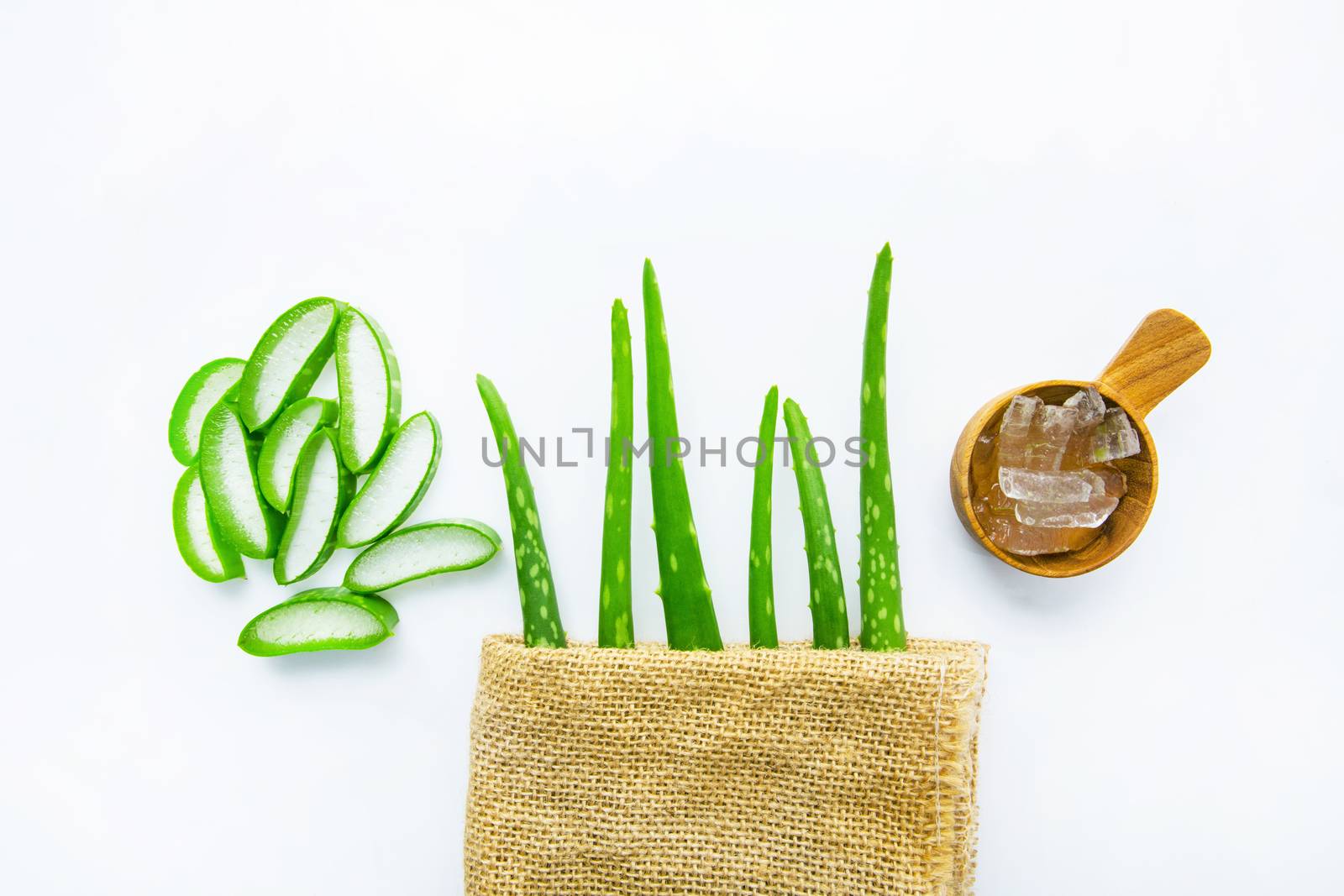 Aloe vera fresh leaves with aloe vera gel on wooden measuring spoon. isolated over white