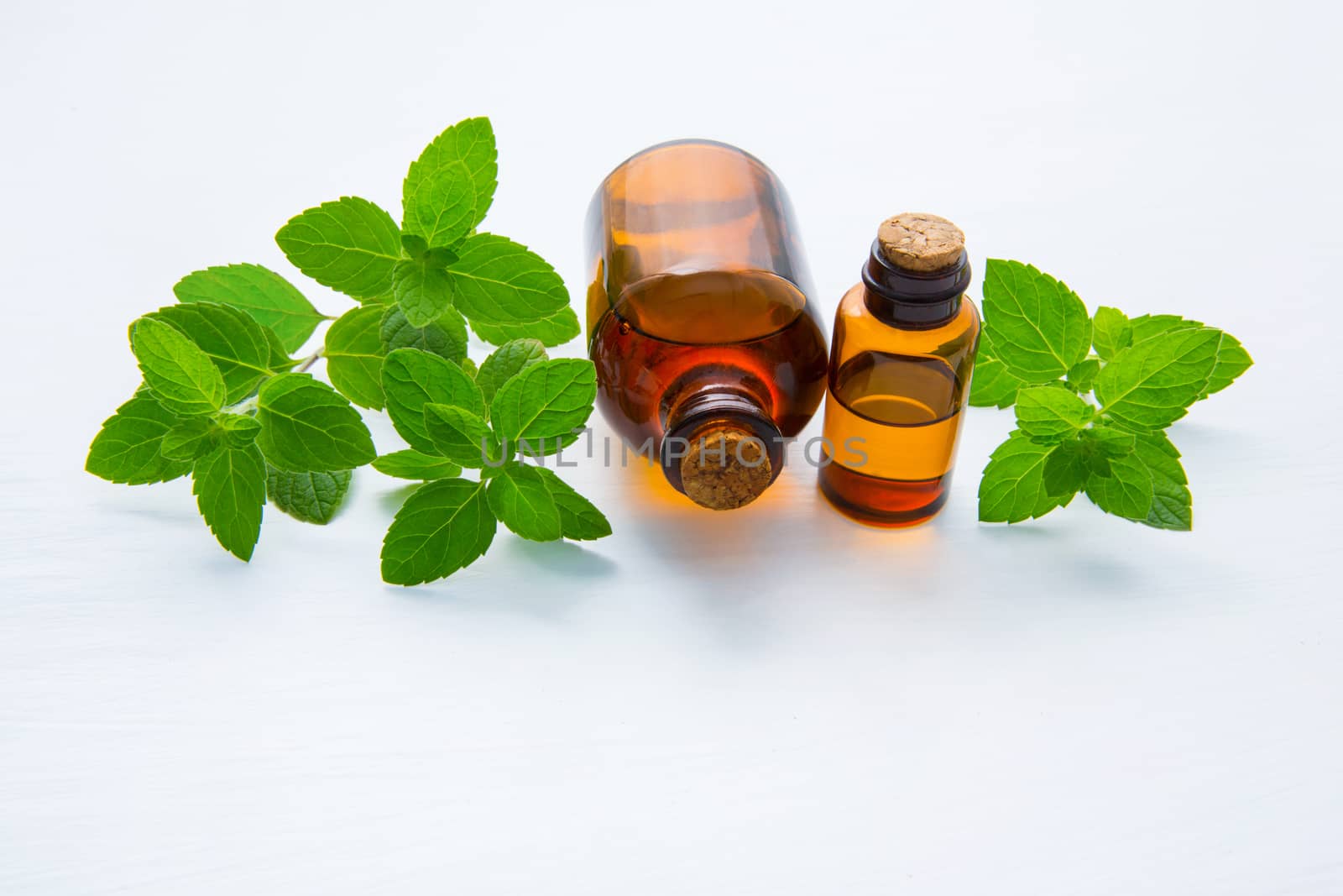 Natural Mint Essential Oil in a Glass Bottle with Fresh Mint Lea by Bowonpat