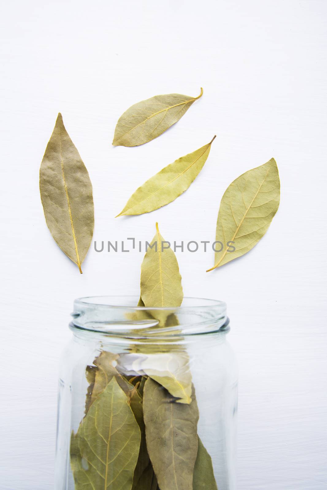 Dried bay leaves in glass jar on white wooden background. by Bowonpat