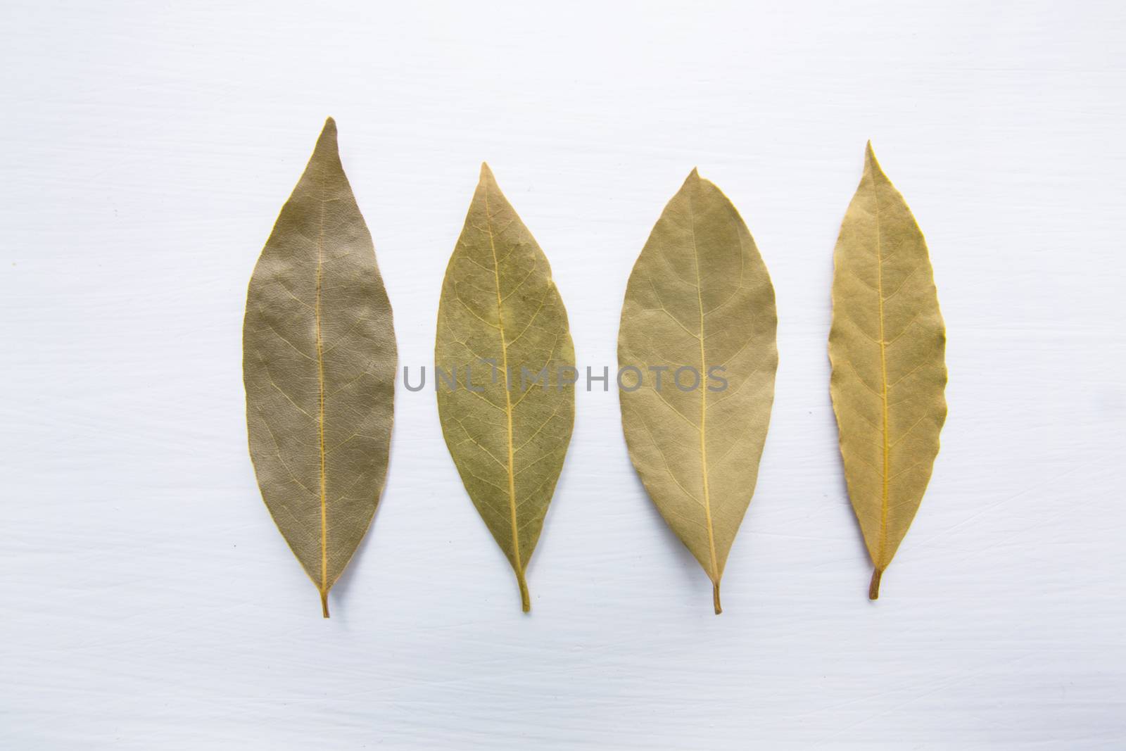 Dried bay leaves on white wooden background.