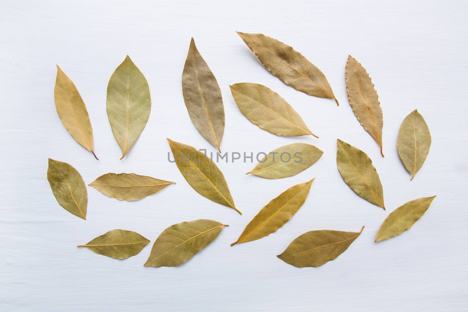 Dried bay leaves on white wooden background. by Bowonpat