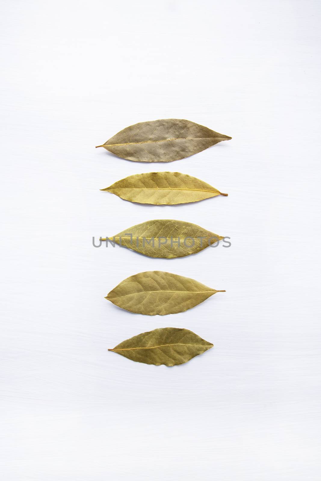 Dried bay leaves isolated on white wooden background with copy s by Bowonpat