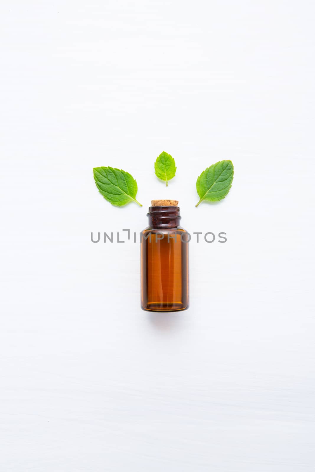 Natural Mint Essential Oil in a Glass Bottle with Fresh Mint Lea by Bowonpat