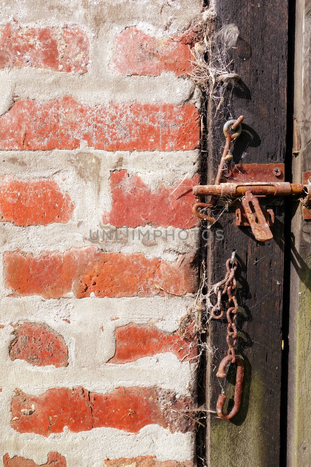 Old rough wood door and brick wall background texture