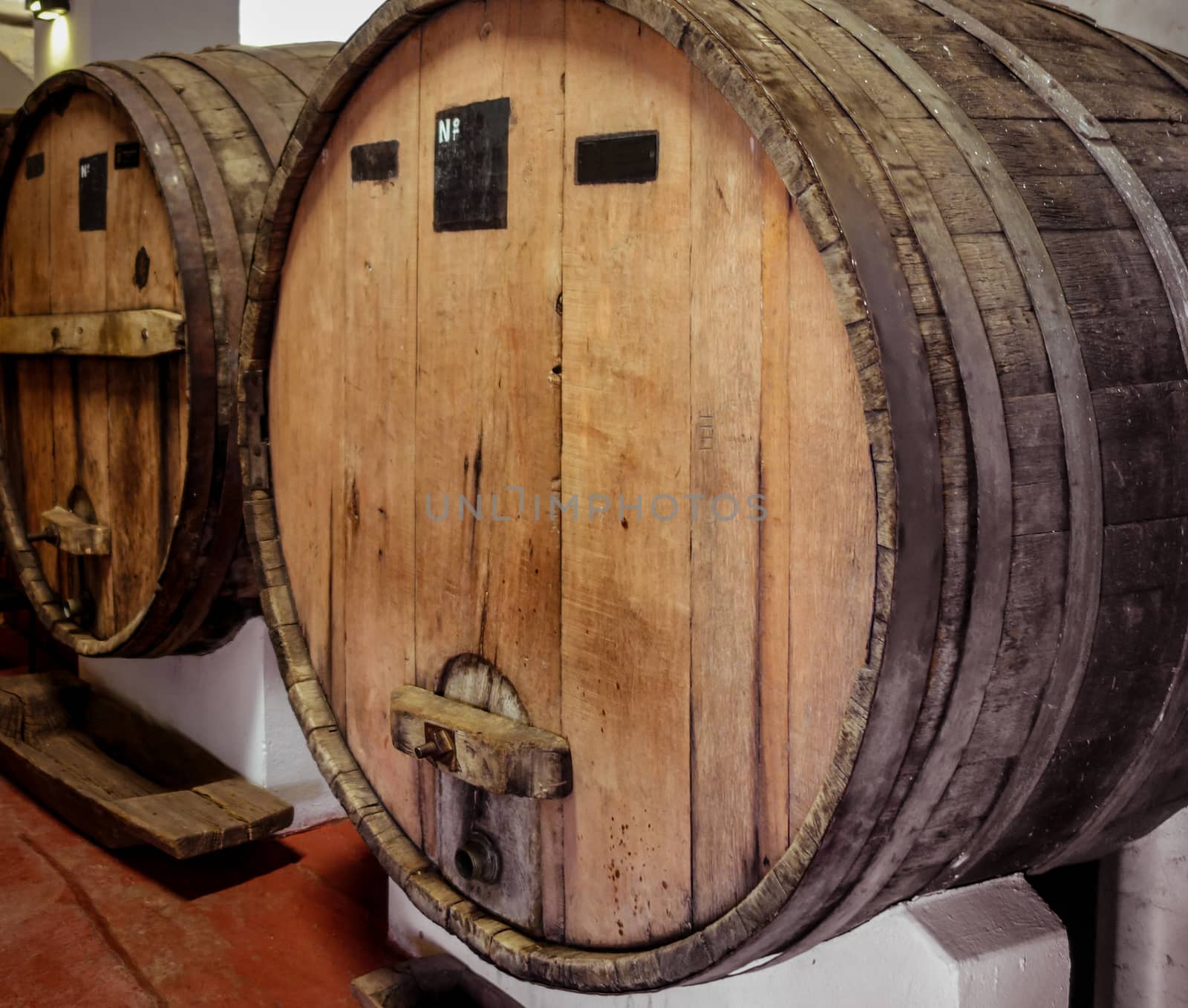 wood wine barrels in a winery by daboost