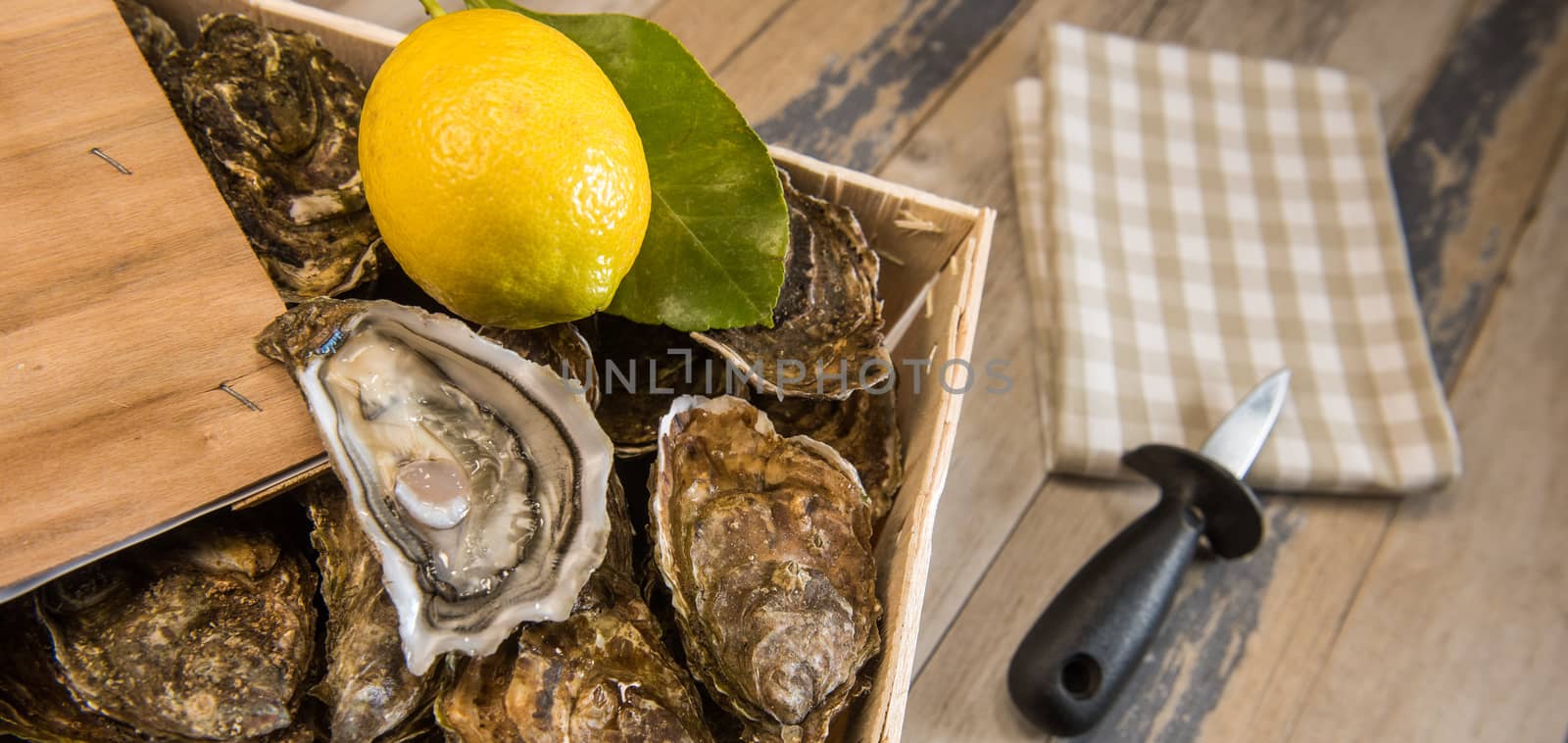 Raw oysters with lemon on wood board and bottle of wine and glass, France