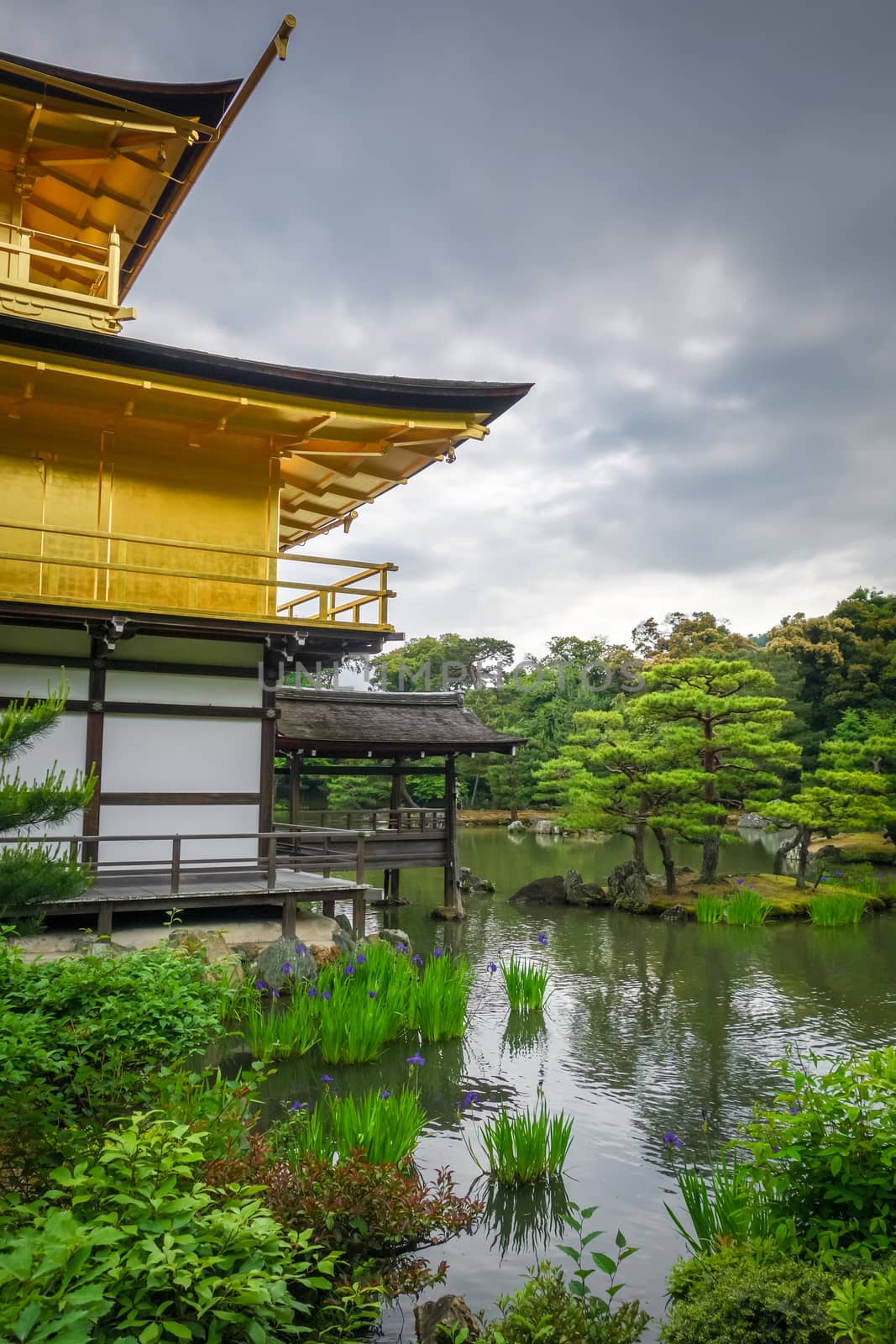 Kinkaku-ji golden temple pavilion in Kyoto, Japan