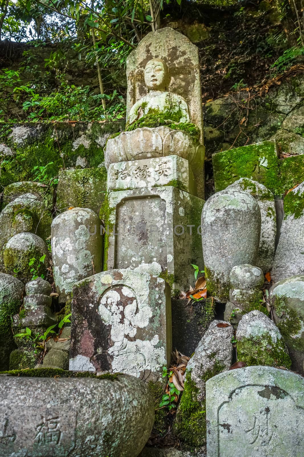 Chion-in temple garden graveyard, Kyoto, Japan by daboost