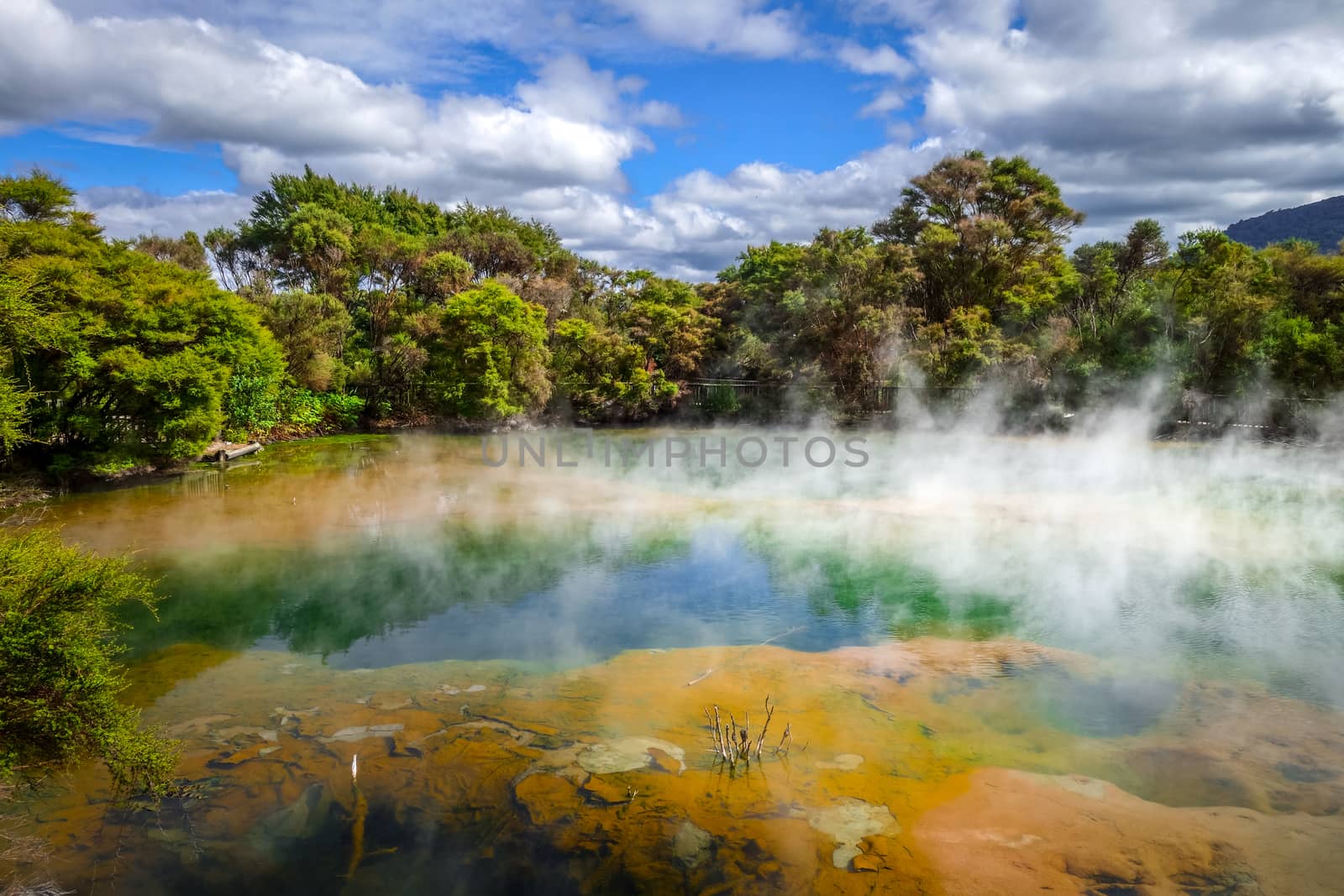 Hot springs lake in Rotorua, New Zealand by daboost
