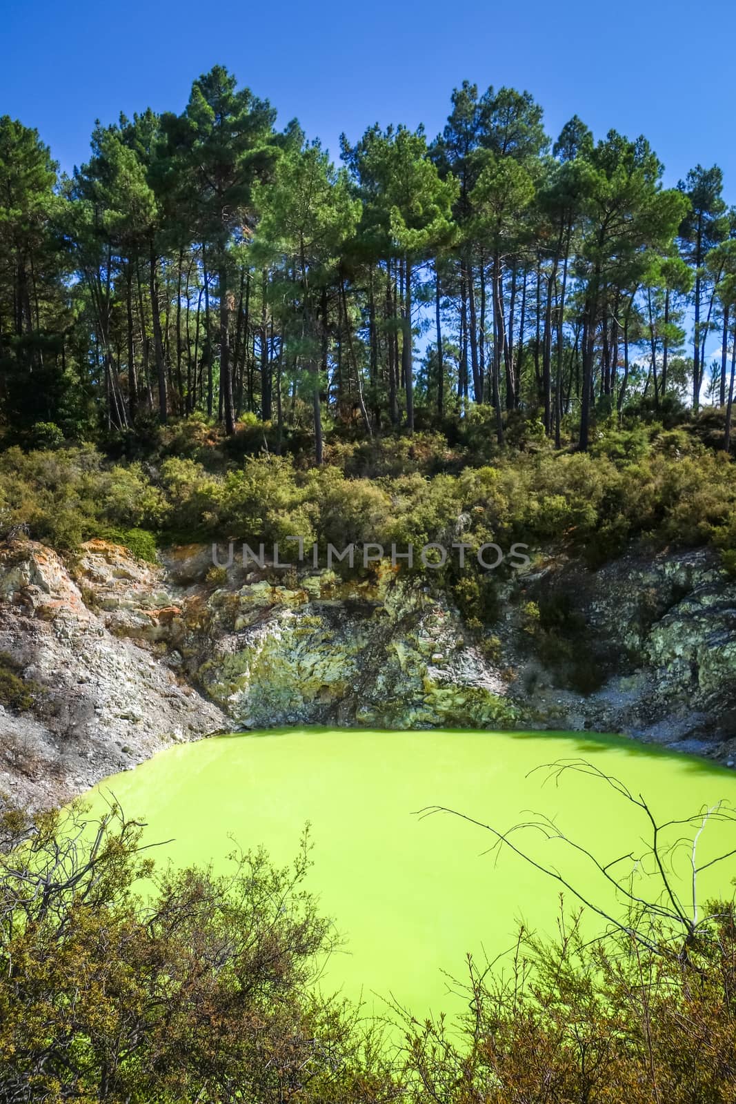 green lake in Waiotapu geothermal area, Rotorua, New Zealand