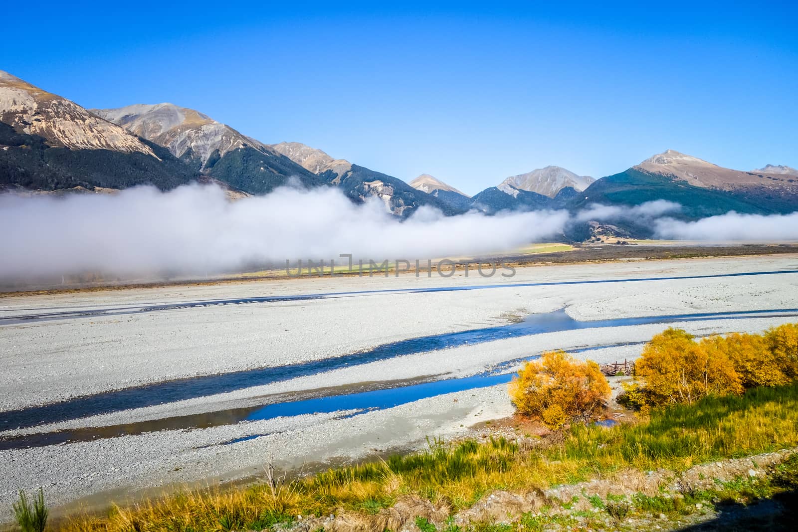 Yellow forest and river in New Zealand Alps