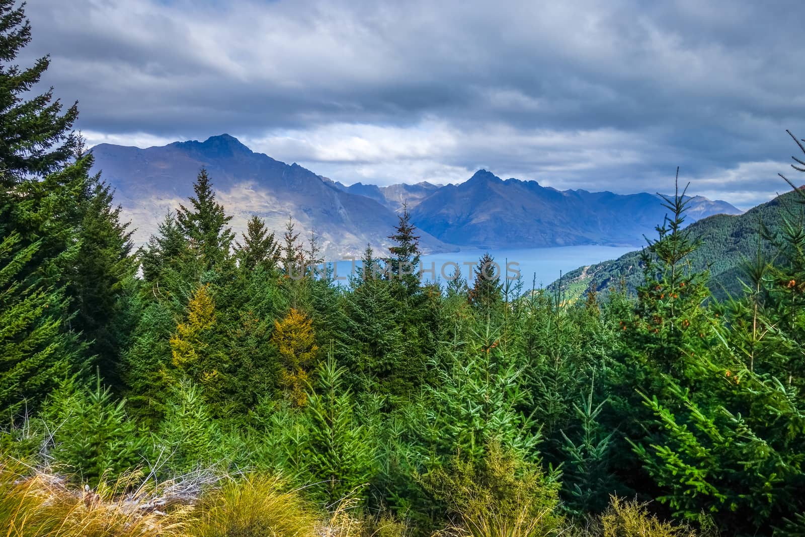 Lake Wakatipu and mountain forest, New Zealand by daboost