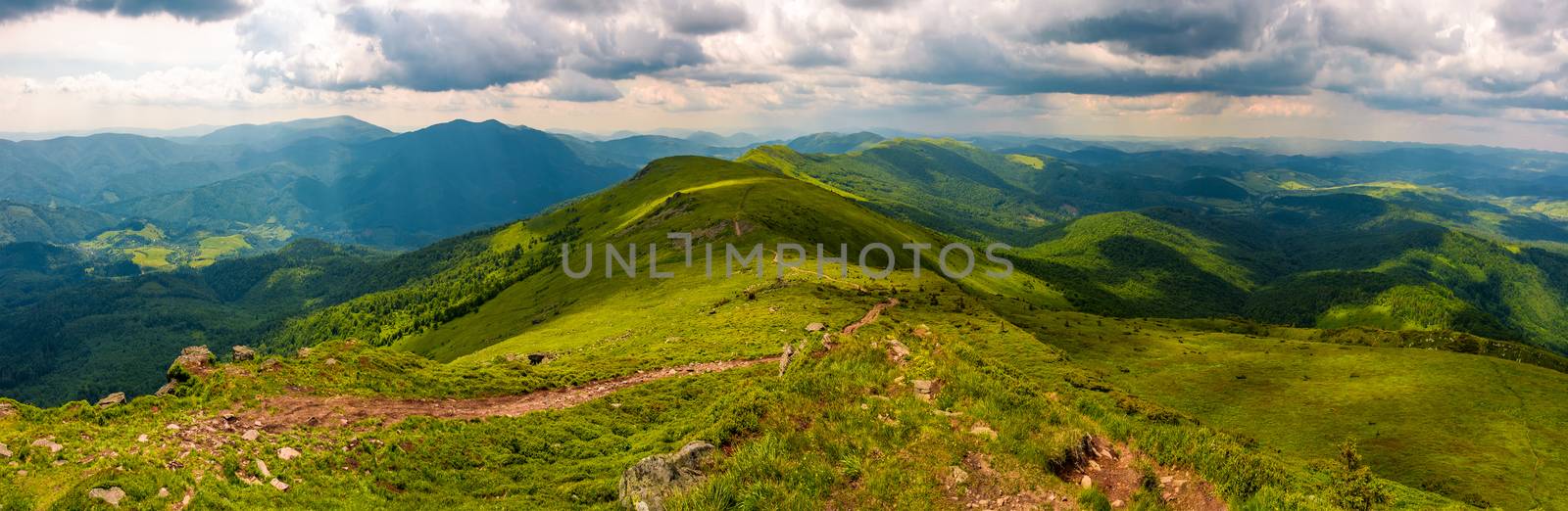 panorama of great Carpathian water dividing ridge. beautiful summer landscape view of Lviv and TransCarpathia regions of Ukraine from mountain Pikui