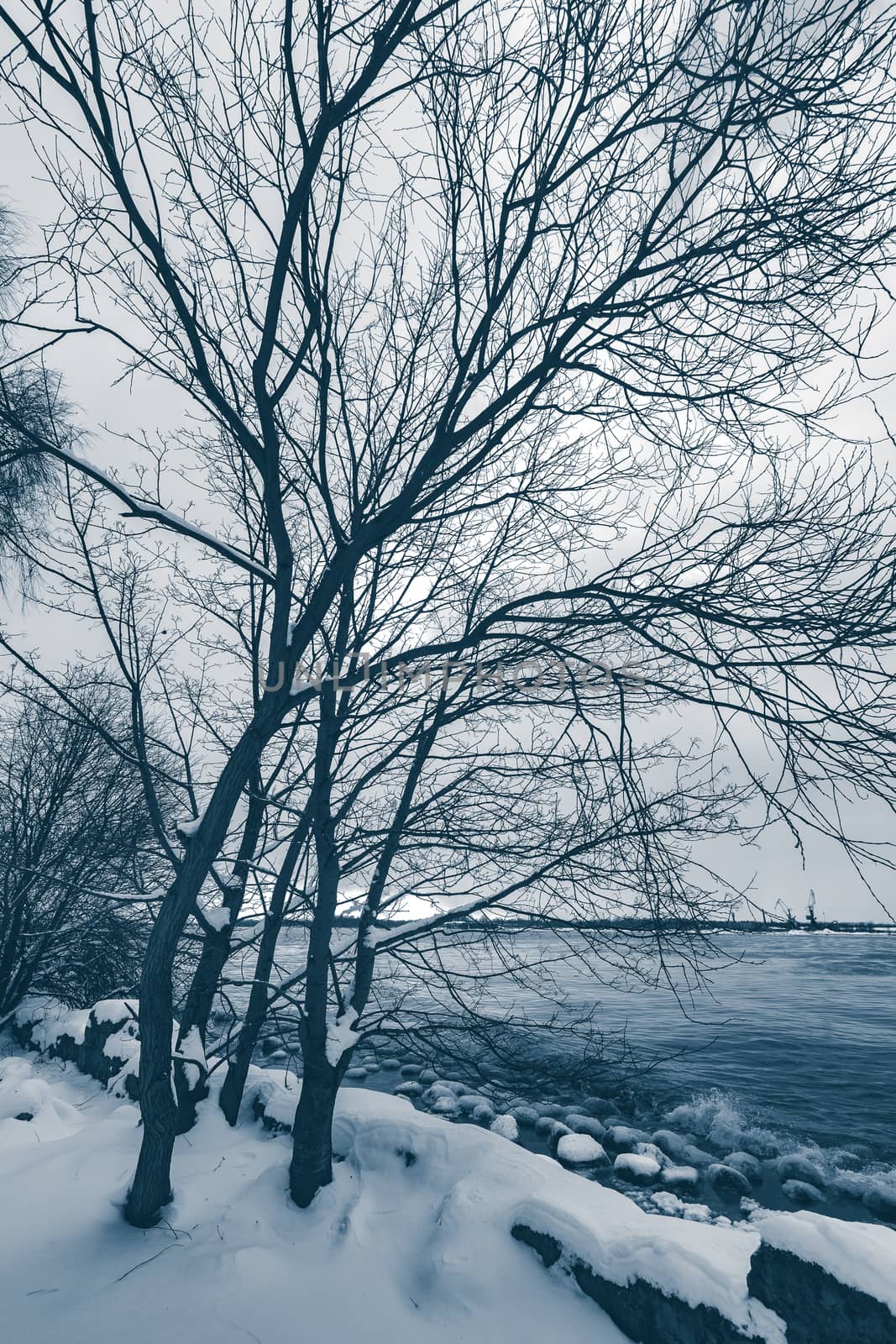 Snowy winter landscape by sengnsp