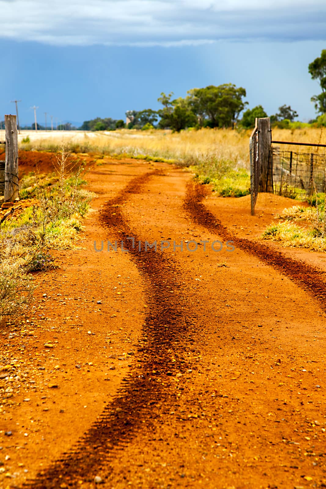 Outback at Dubbo New South Wales Australia by Makeral