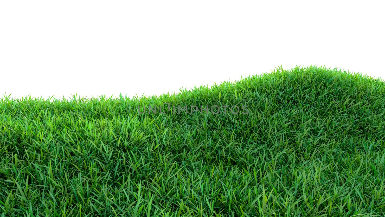 Grass background, fresh green fields, isolated on white background. 3d illustration