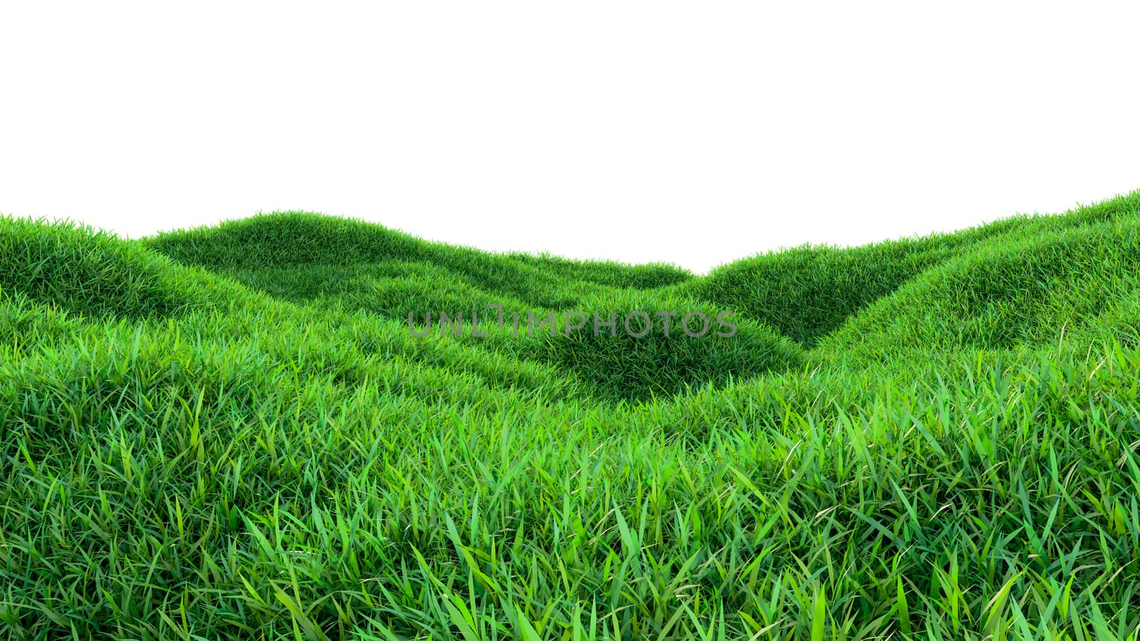 Green grass field isolated on white background by cherezoff