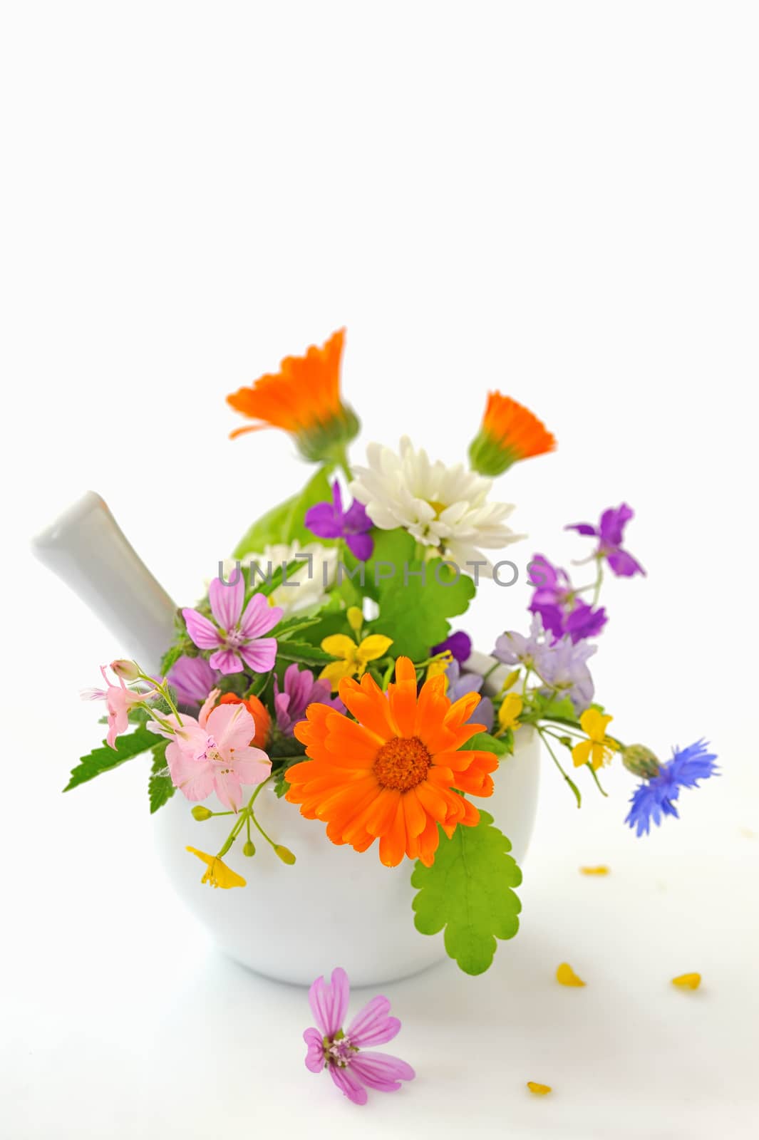 Herbs and flowers in mortar on table