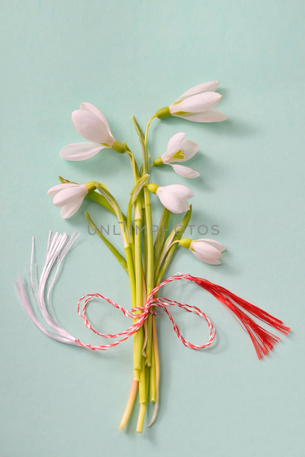 Bouquet of snowdrops on green background