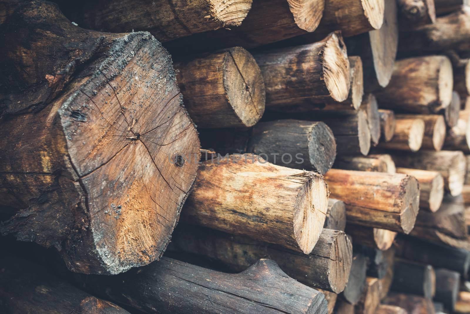 Selective focus Pile firewood prepared for fireplace