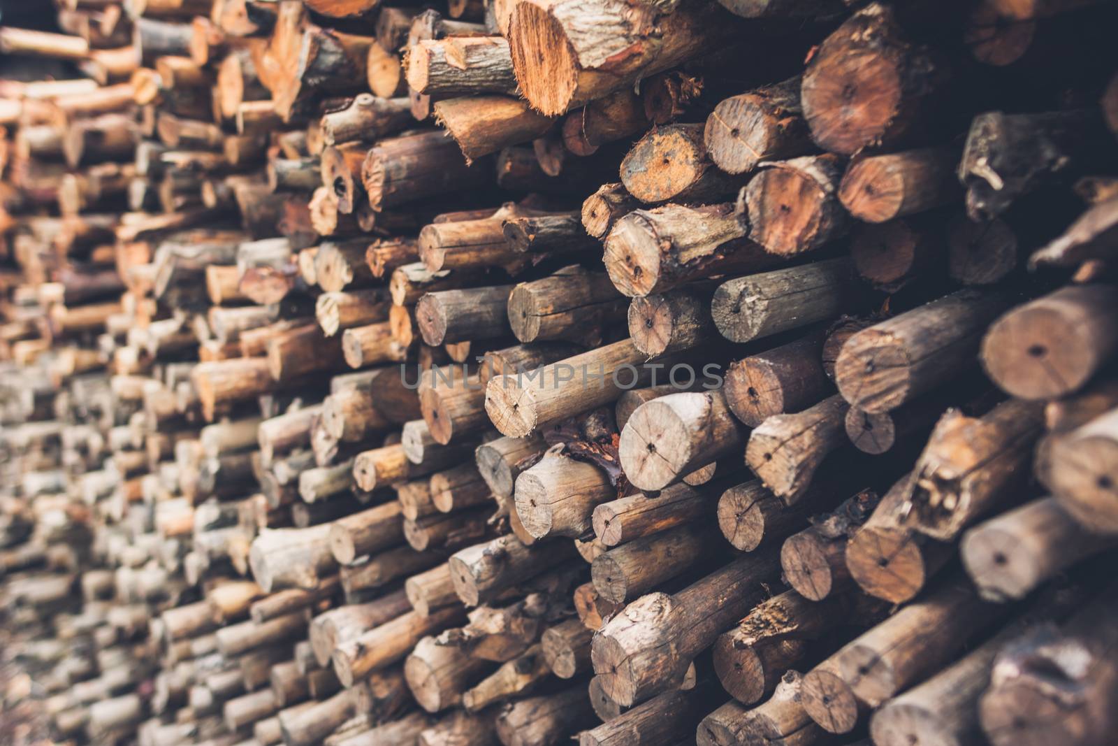 Selective focus Pile firewood prepared for fireplace