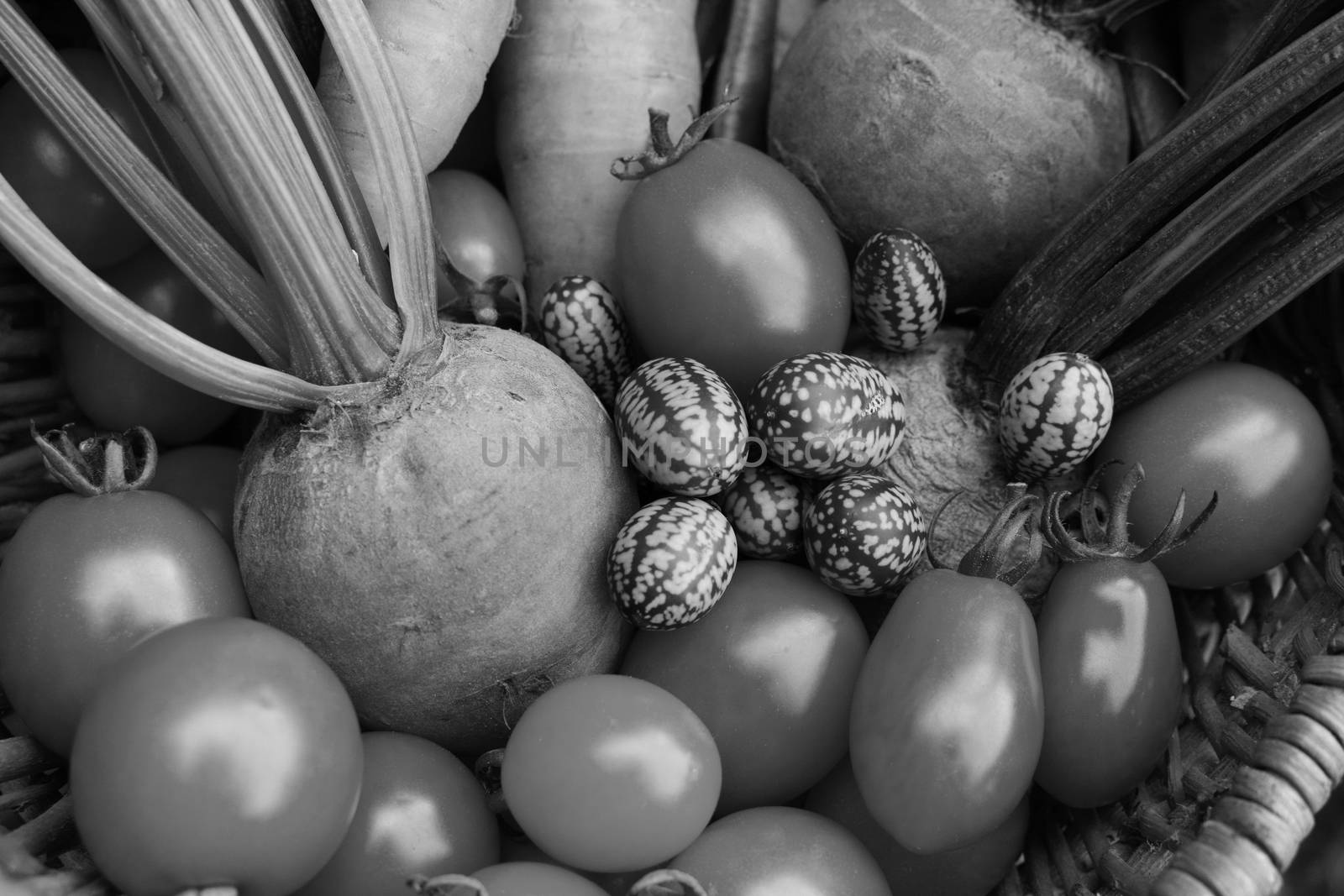 Close-up of fresh tomatoes, rainbow beetroot, Mexican sour gherkins and carrots in a woven basket - monochrome processing