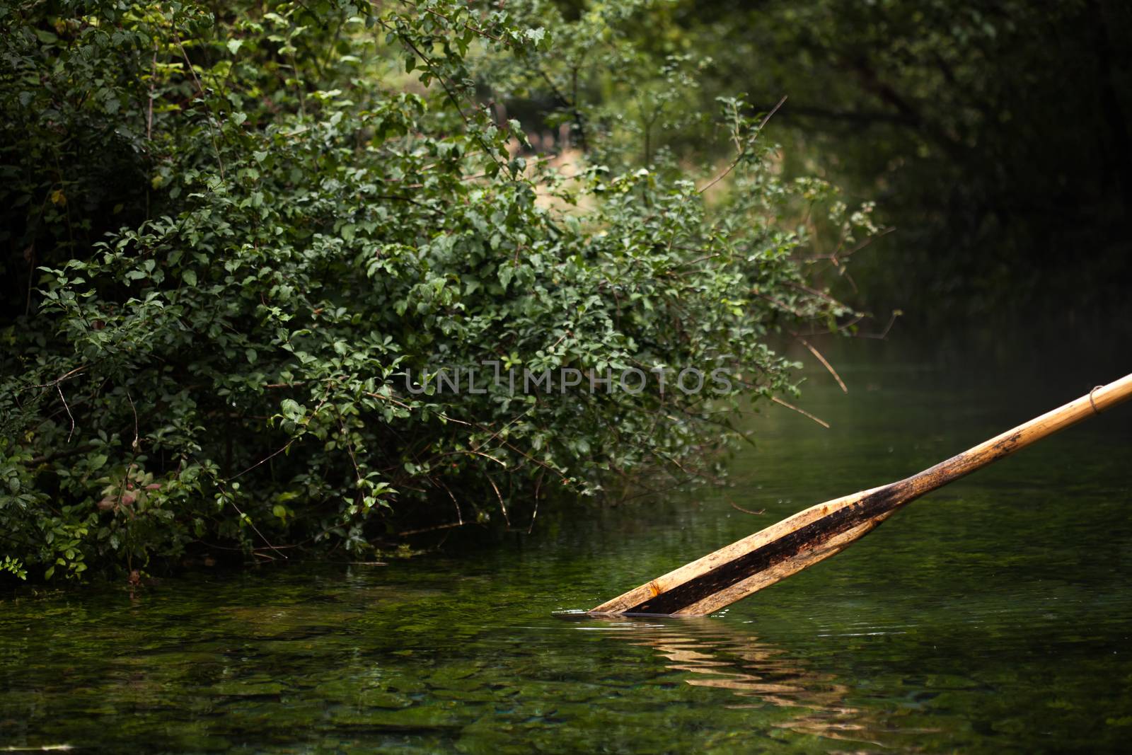 old wooden paddle (oar) from a row boat in a misty water