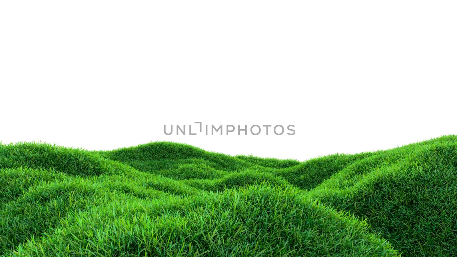 Grass background, fresh green fields, isolated on white background. 3d illustration